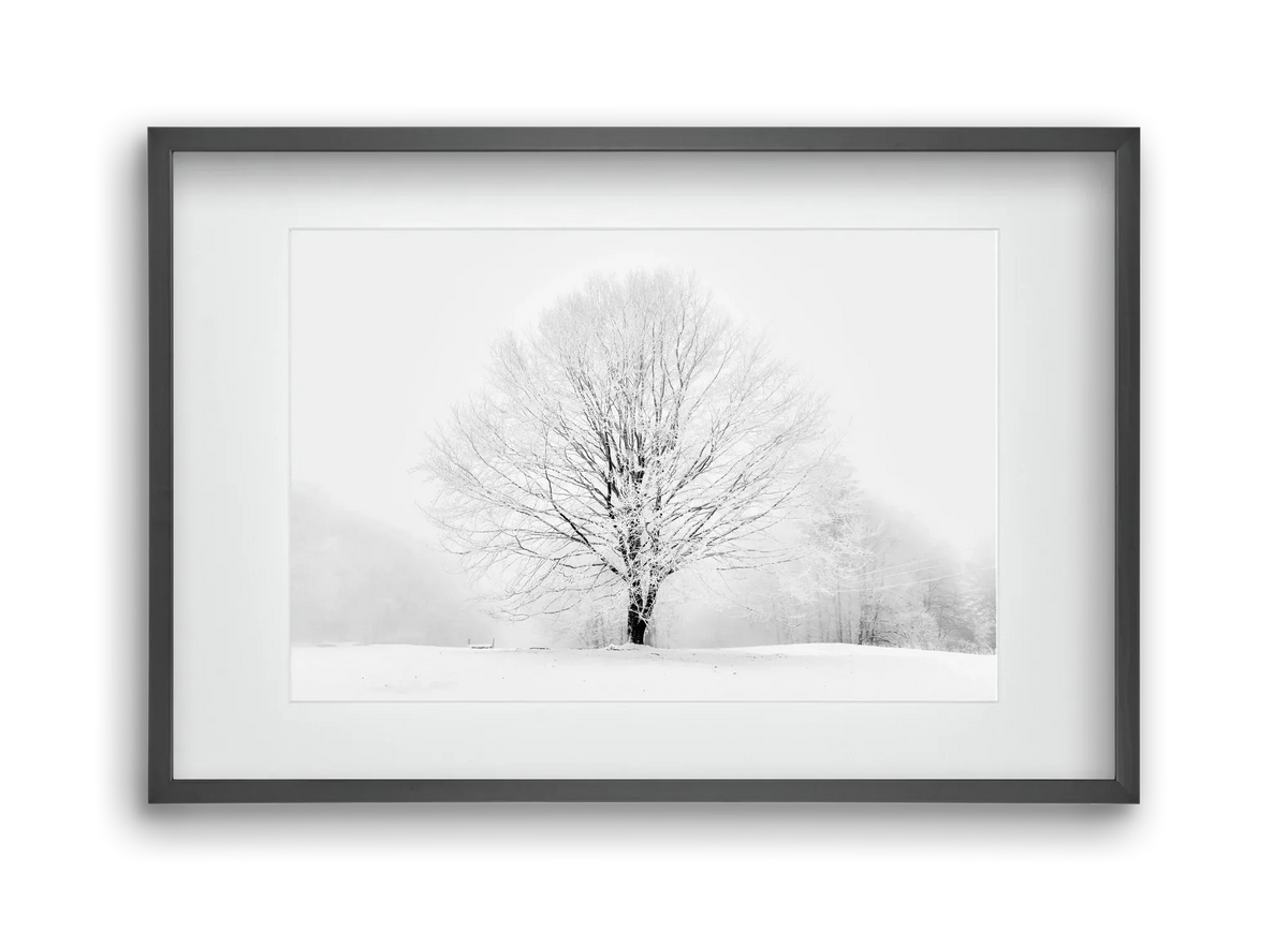 CONTRAST - artbridge