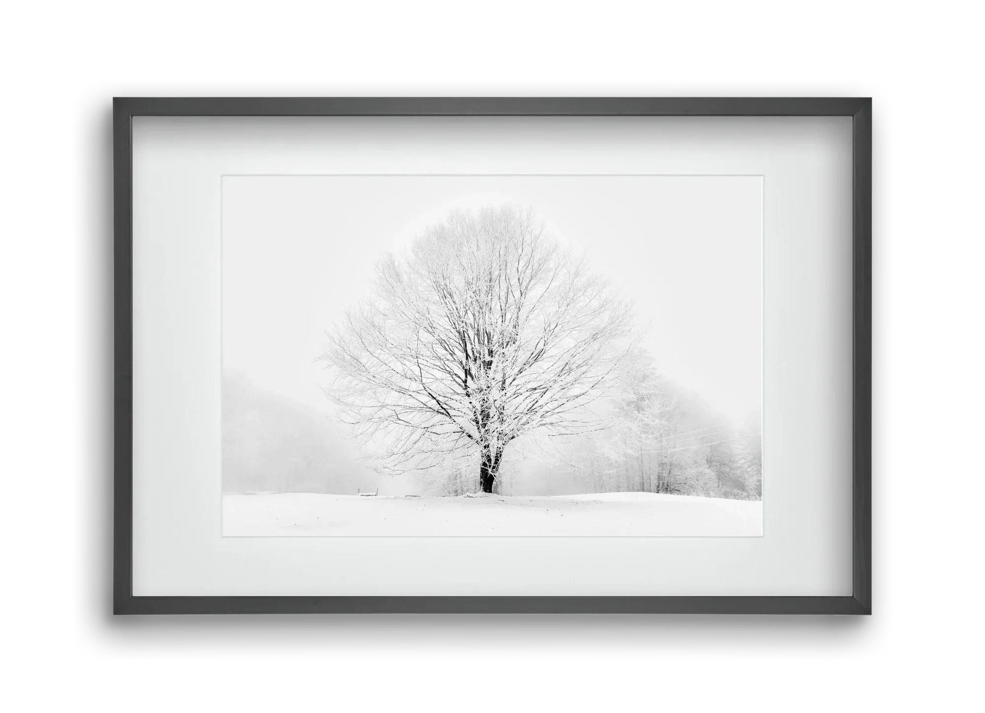 CONTRAST - artbridge