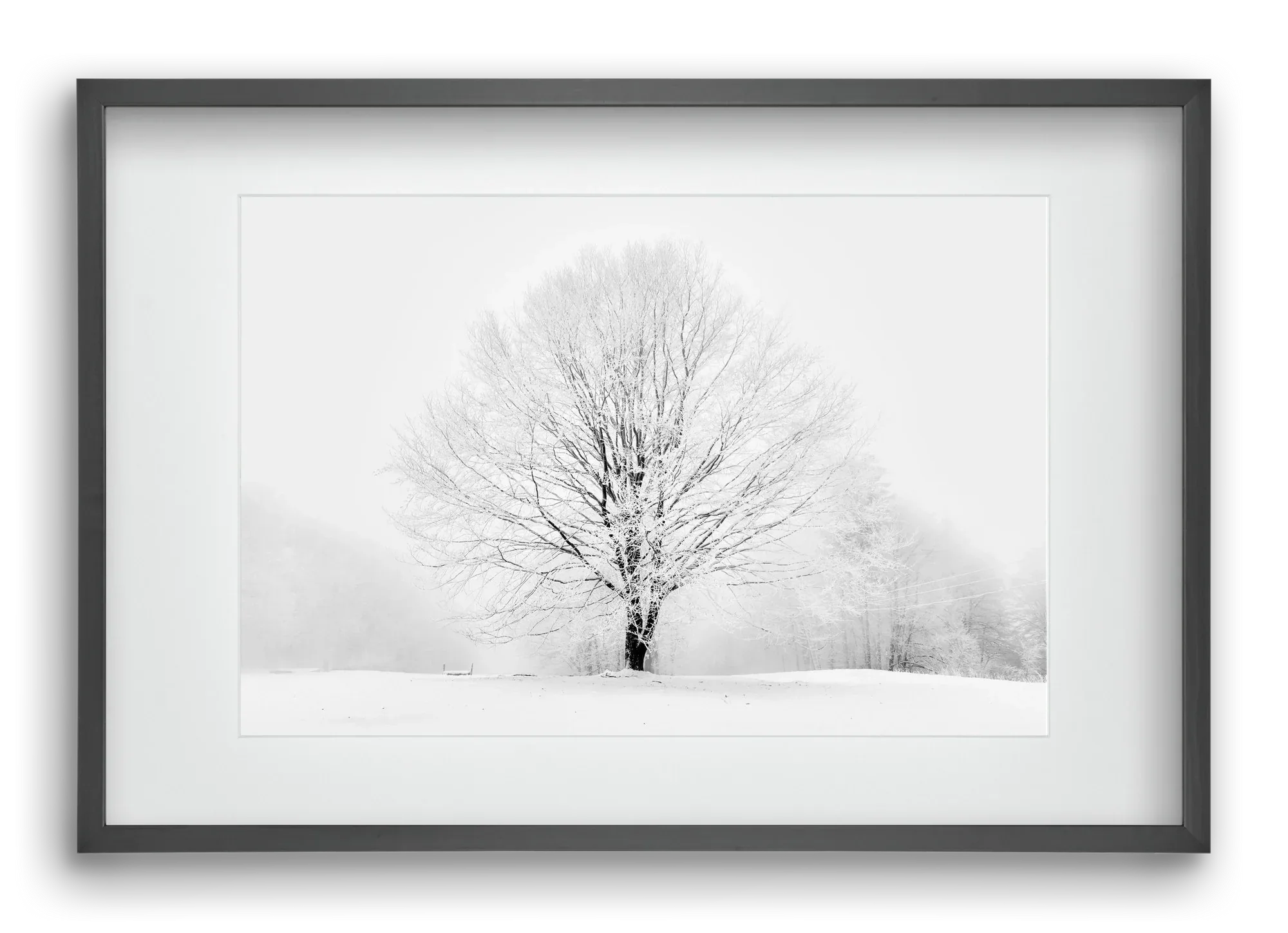 CONTRAST - artbridge