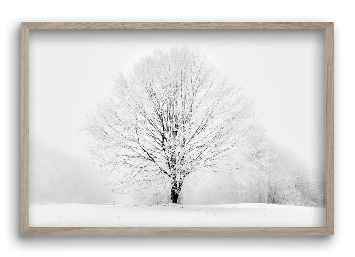 CONTRAST - artbridge