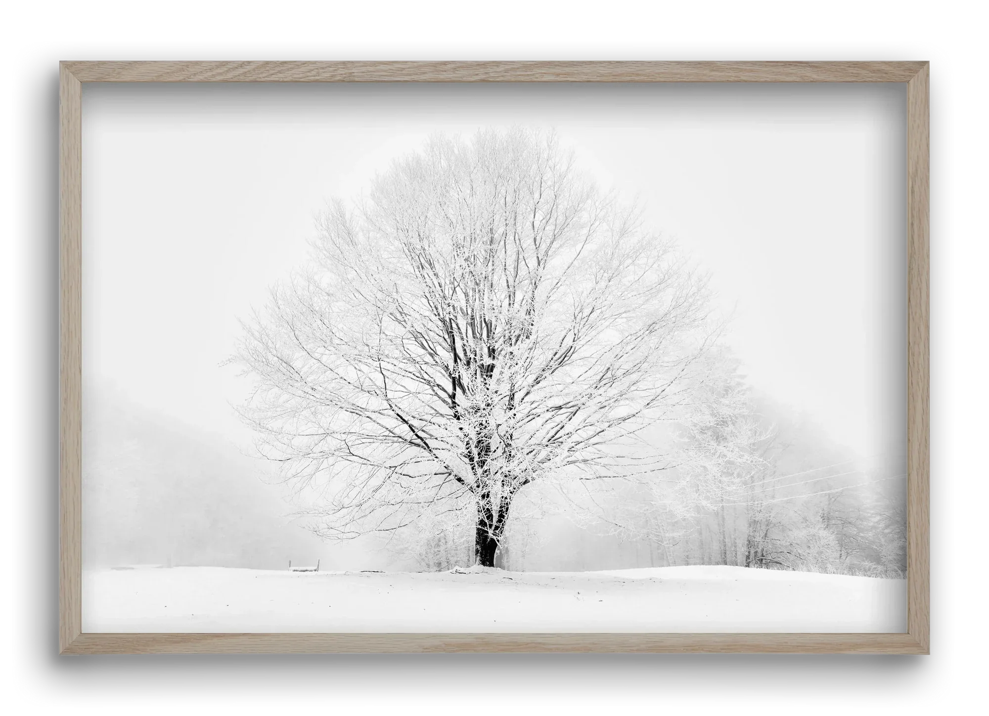 CONTRAST - artbridge