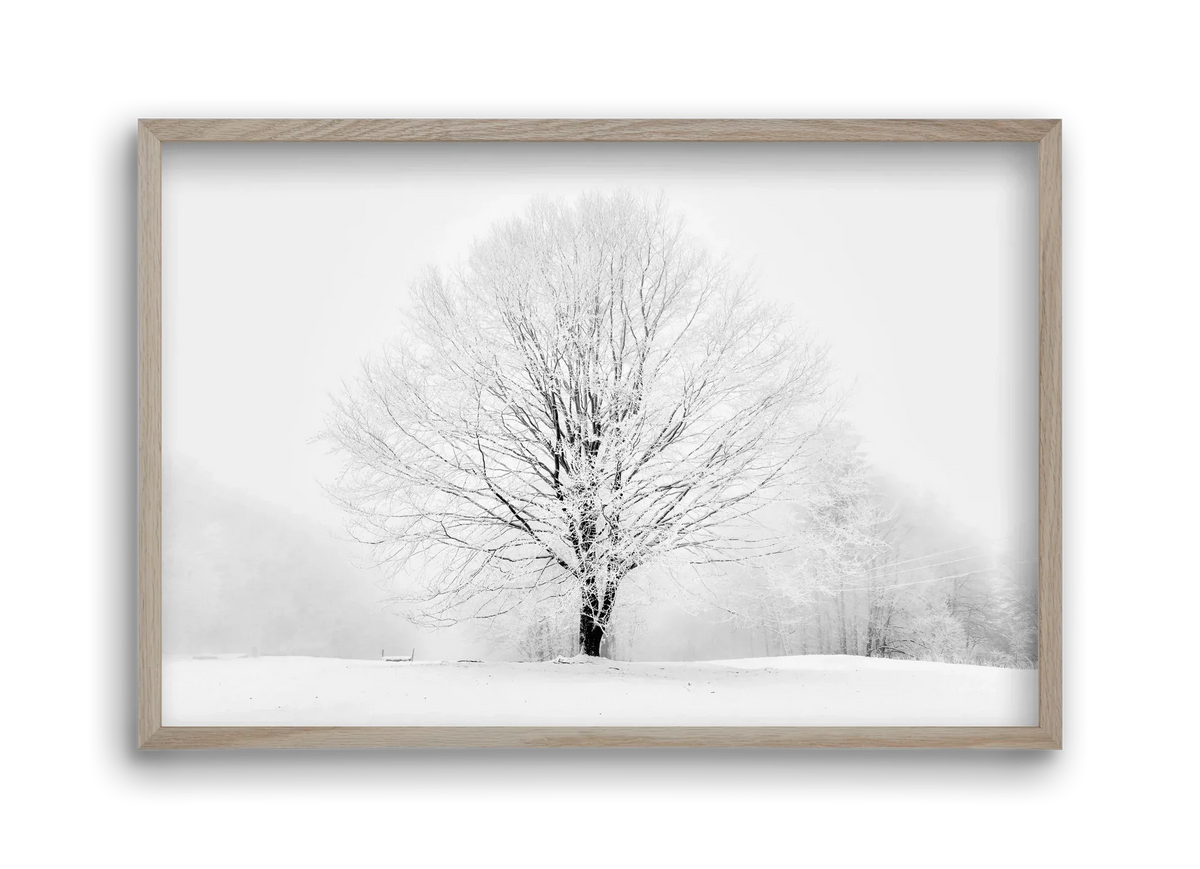 CONTRAST - artbridge