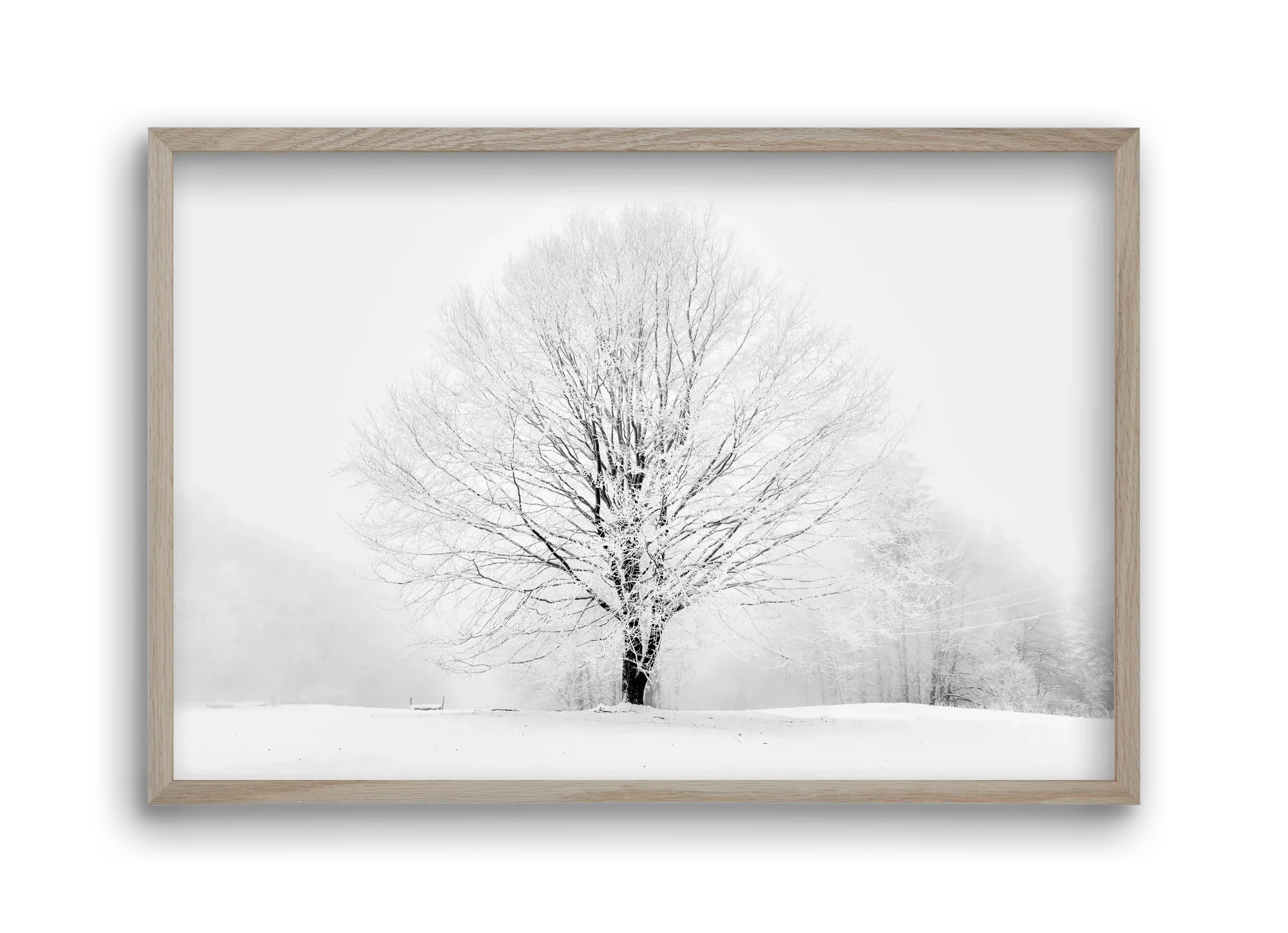 CONTRAST - artbridge