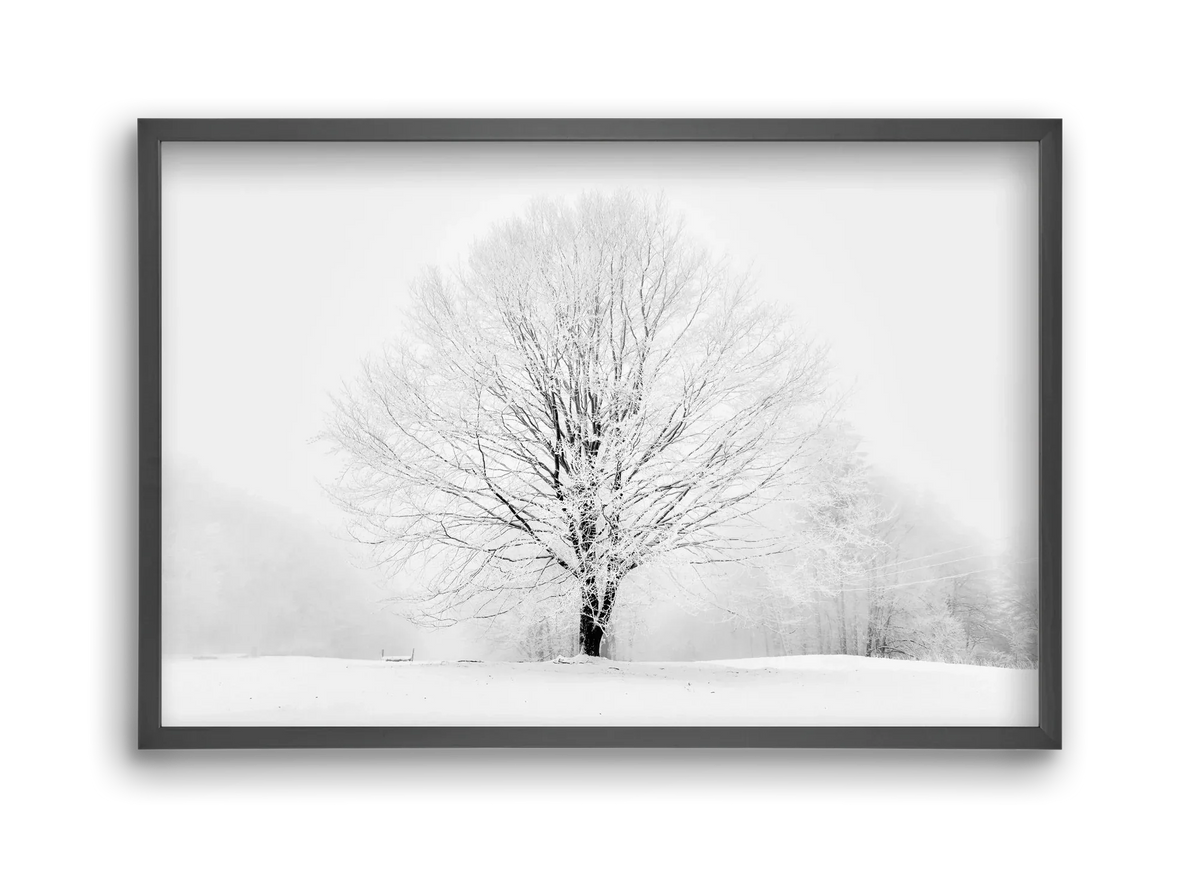 CONTRAST - artbridge