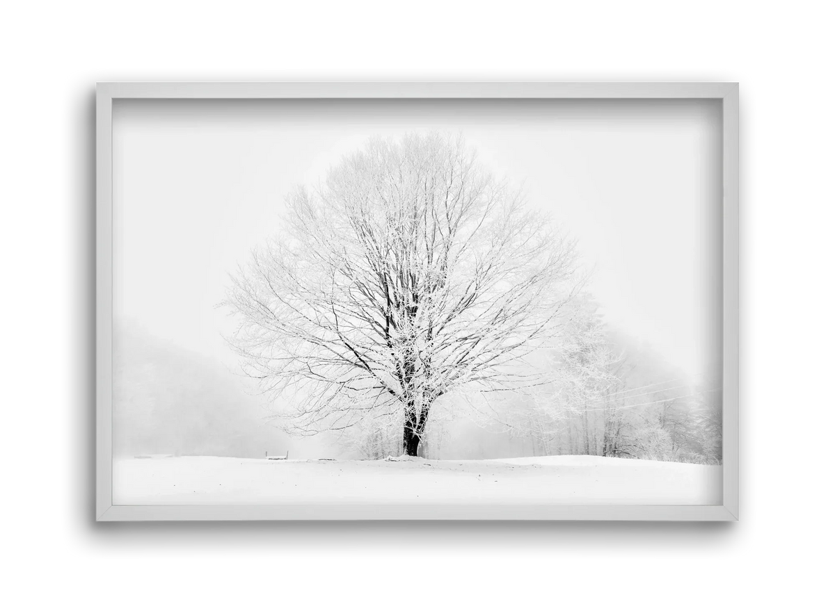 CONTRAST - artbridge