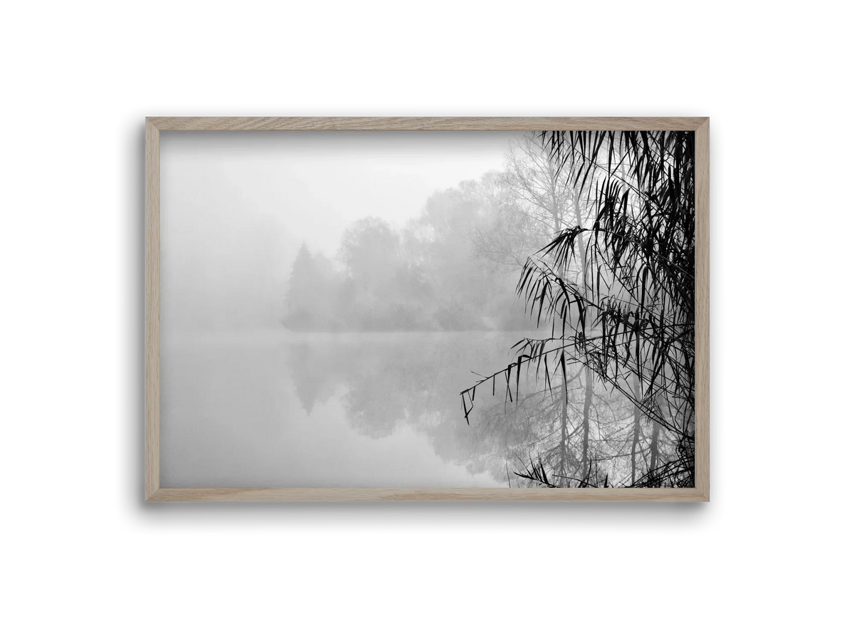 Incognito dual - artbridge