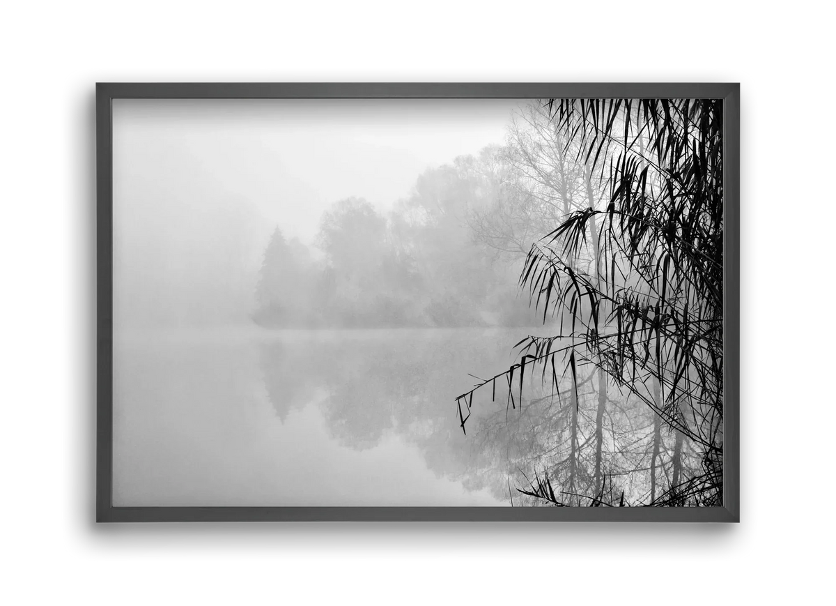 Incognito dual - artbridge