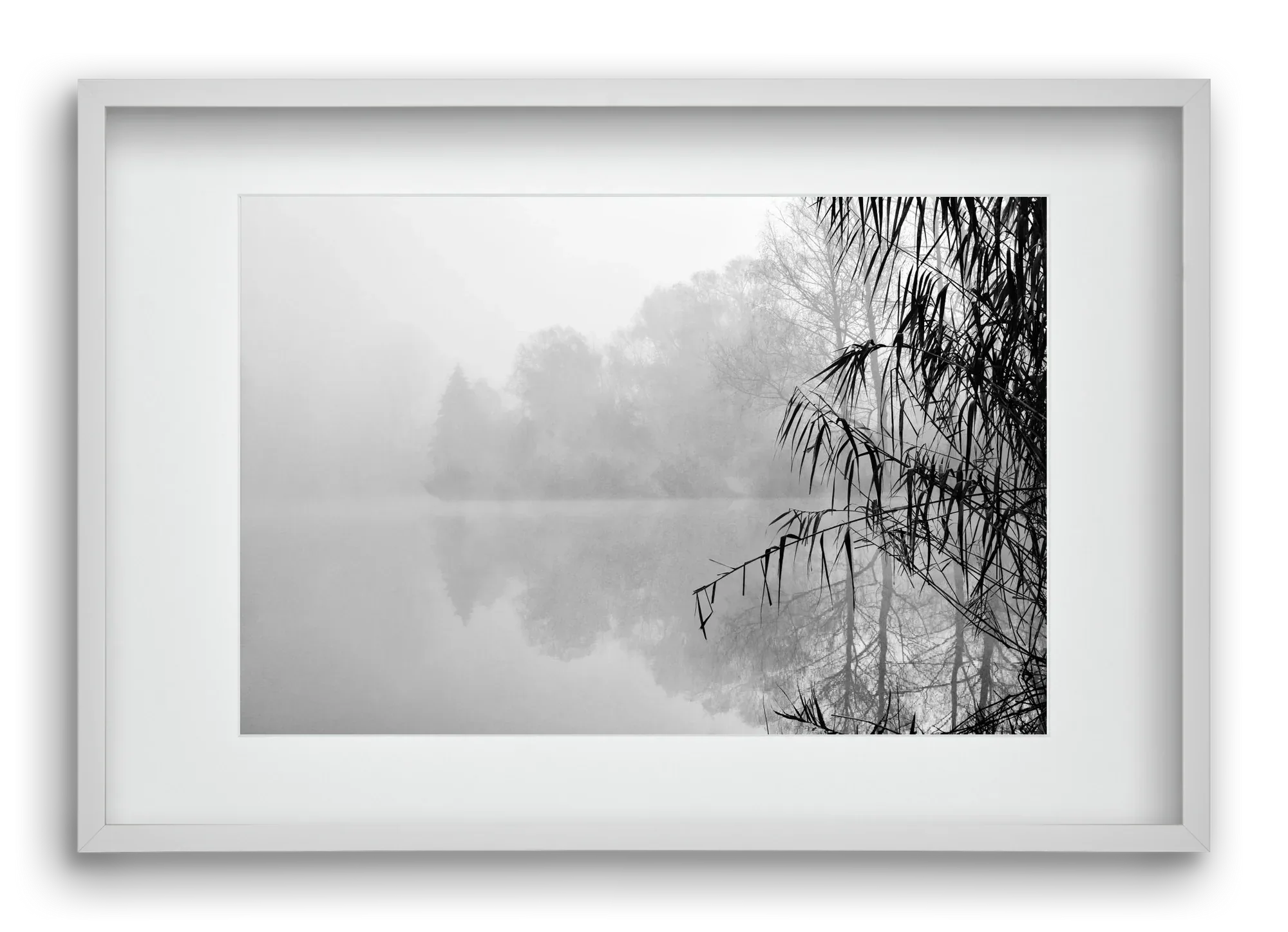 Incognito dual - artbridge