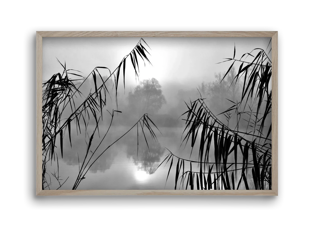 Cloud-land - artbridge
