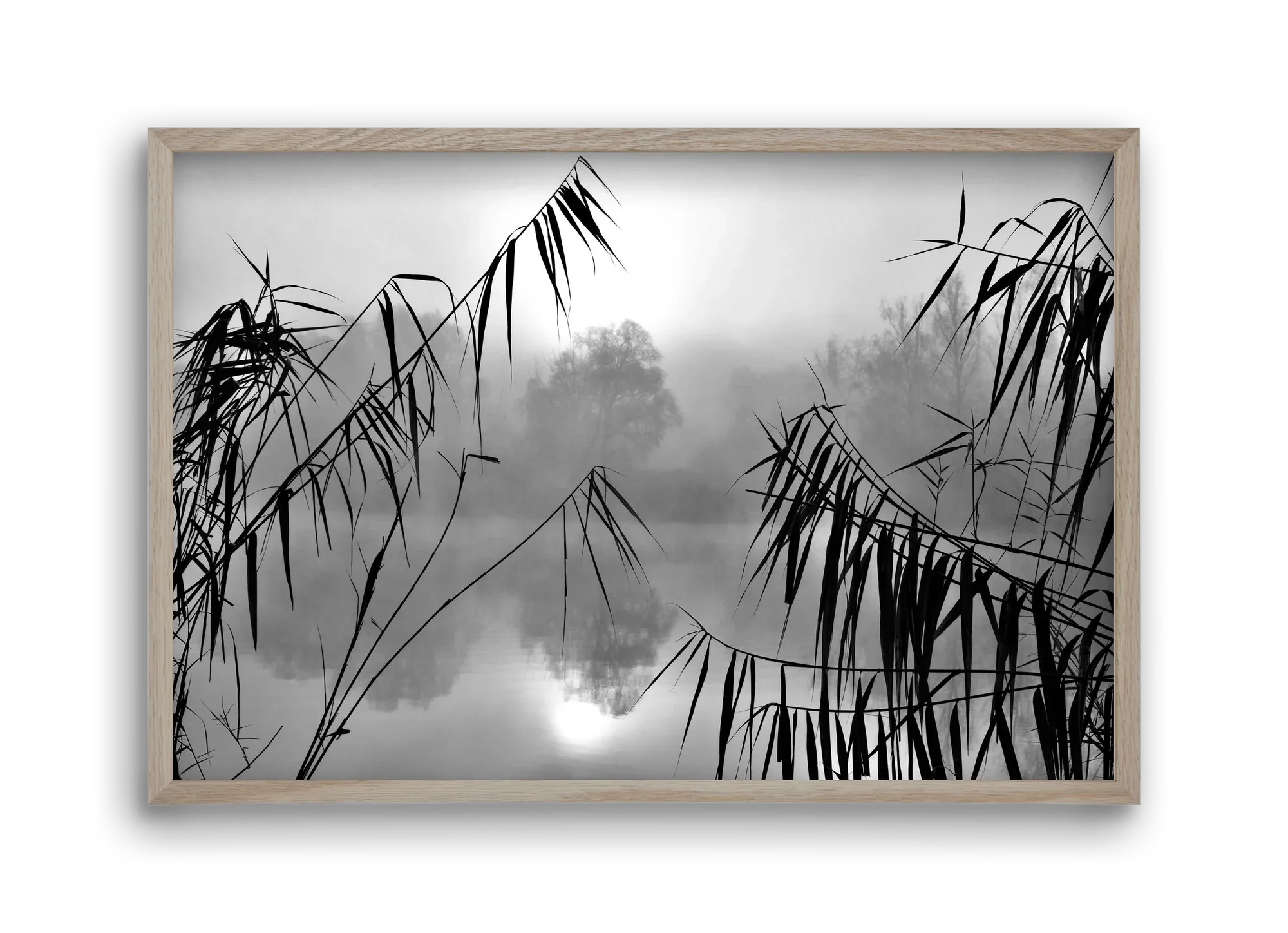 Cloud-land - artbridge
