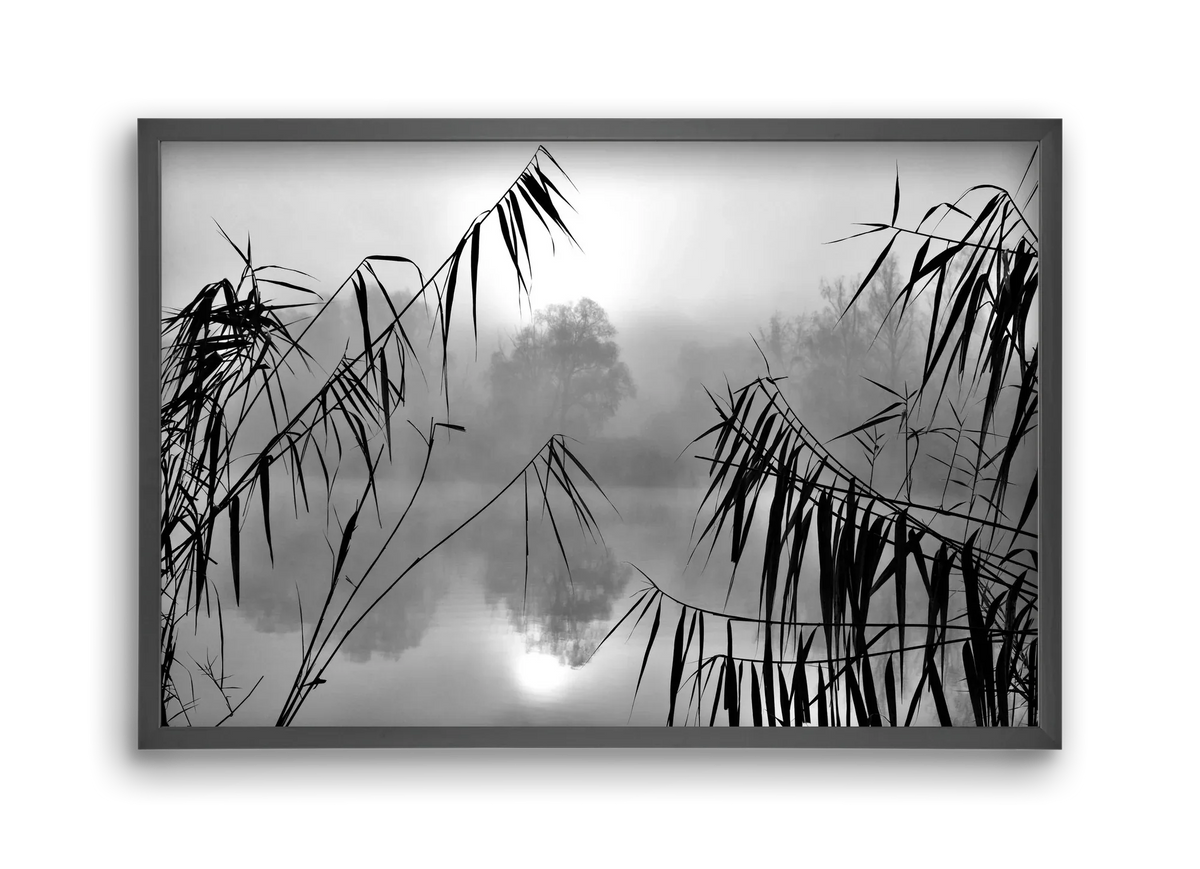 Cloud-land - artbridge