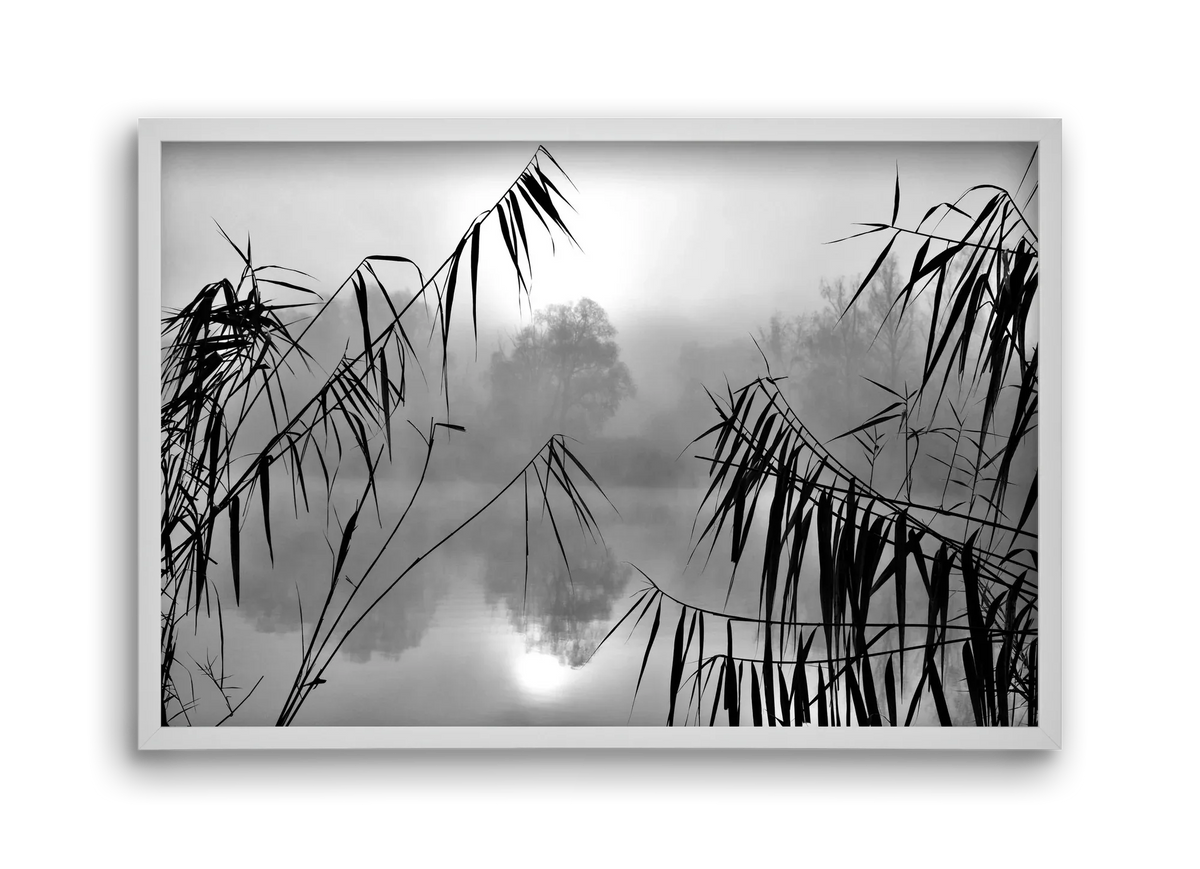 Cloud-land - artbridge