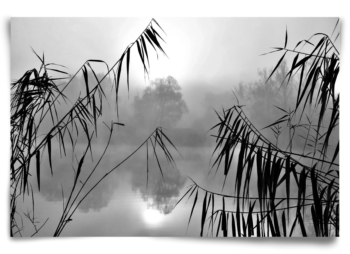 Cloud-land - artbridge