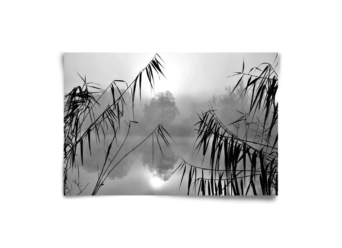Cloud-land - artbridge