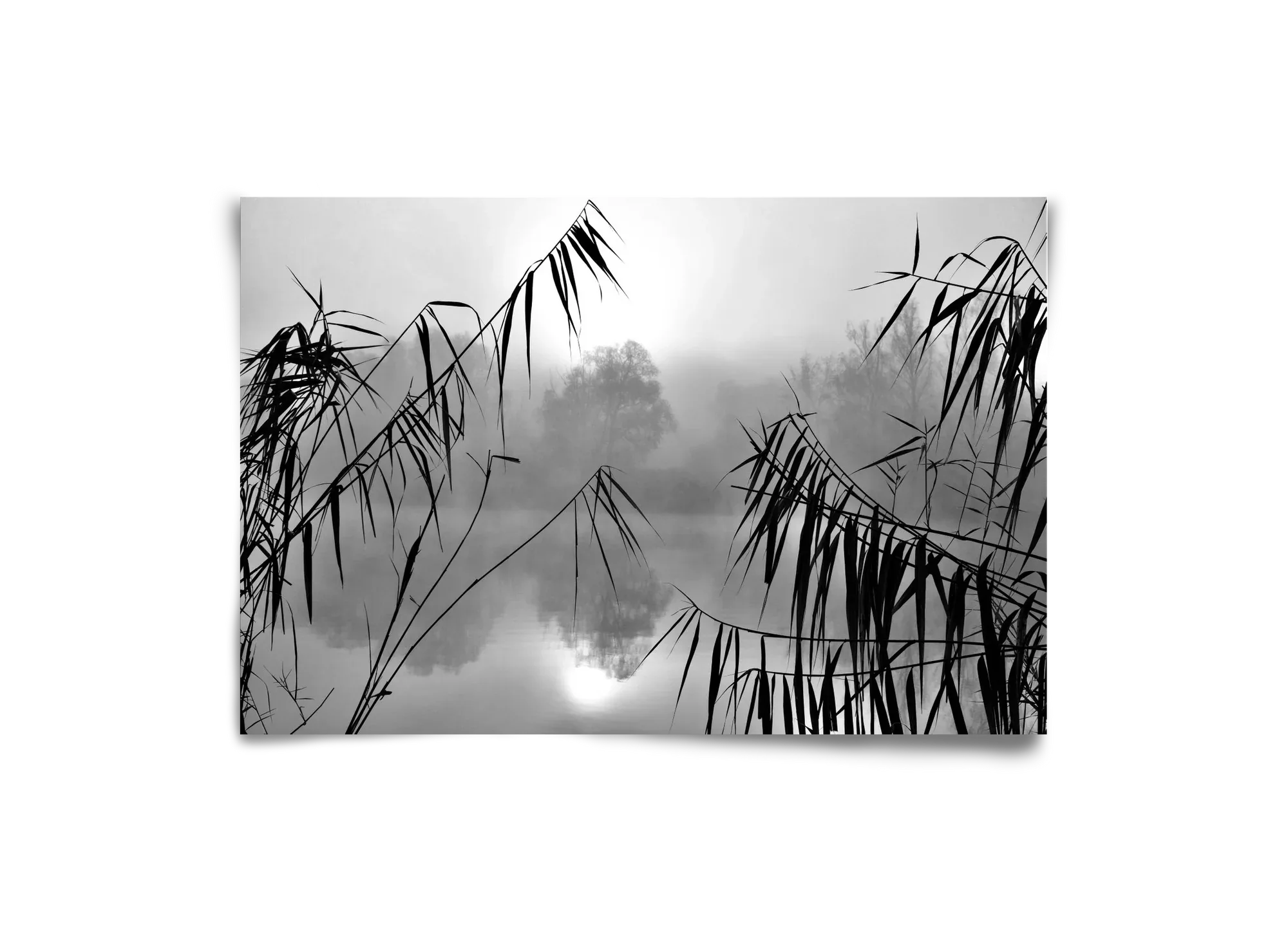 Cloud-land - artbridge