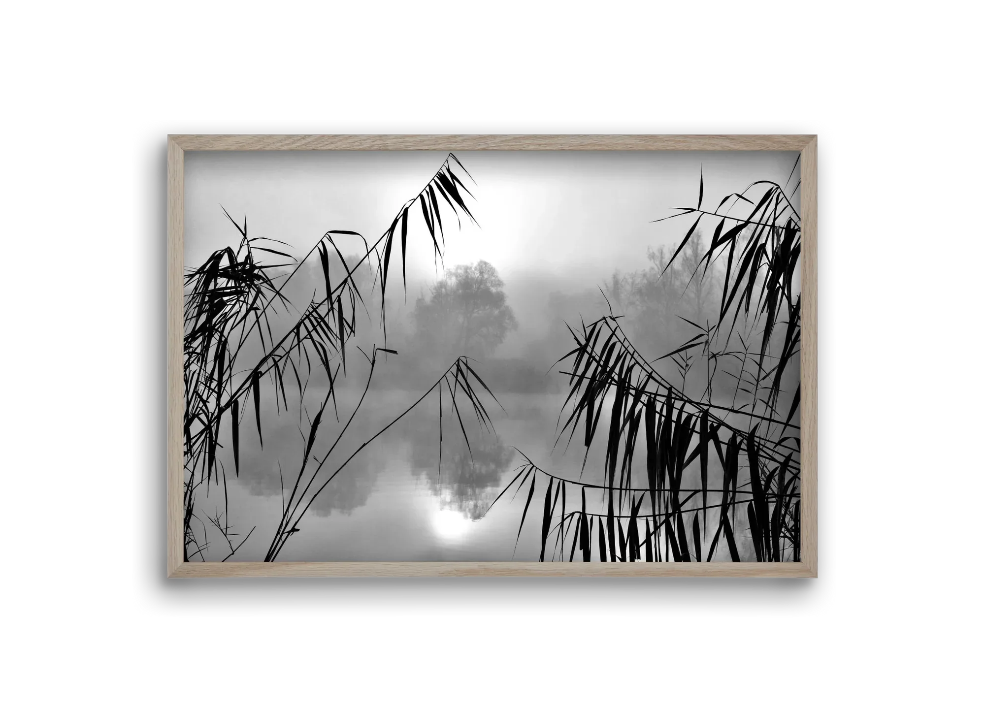 Cloud-land - artbridge