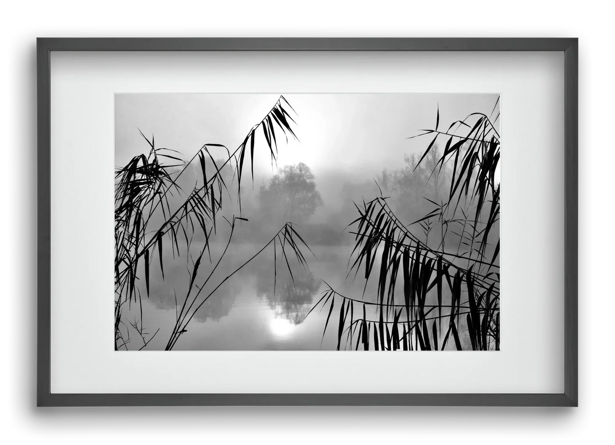 Cloud-land - artbridge