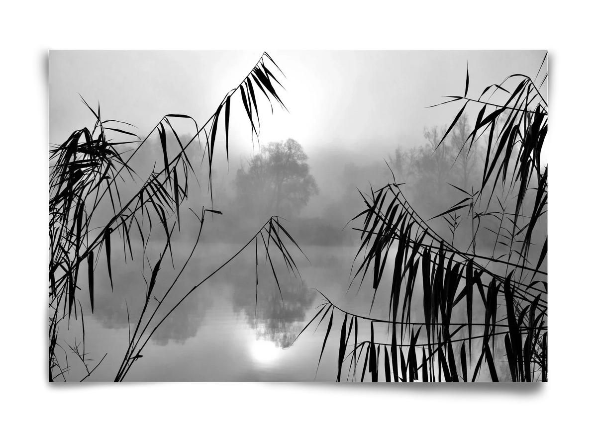 Cloud-land - artbridge