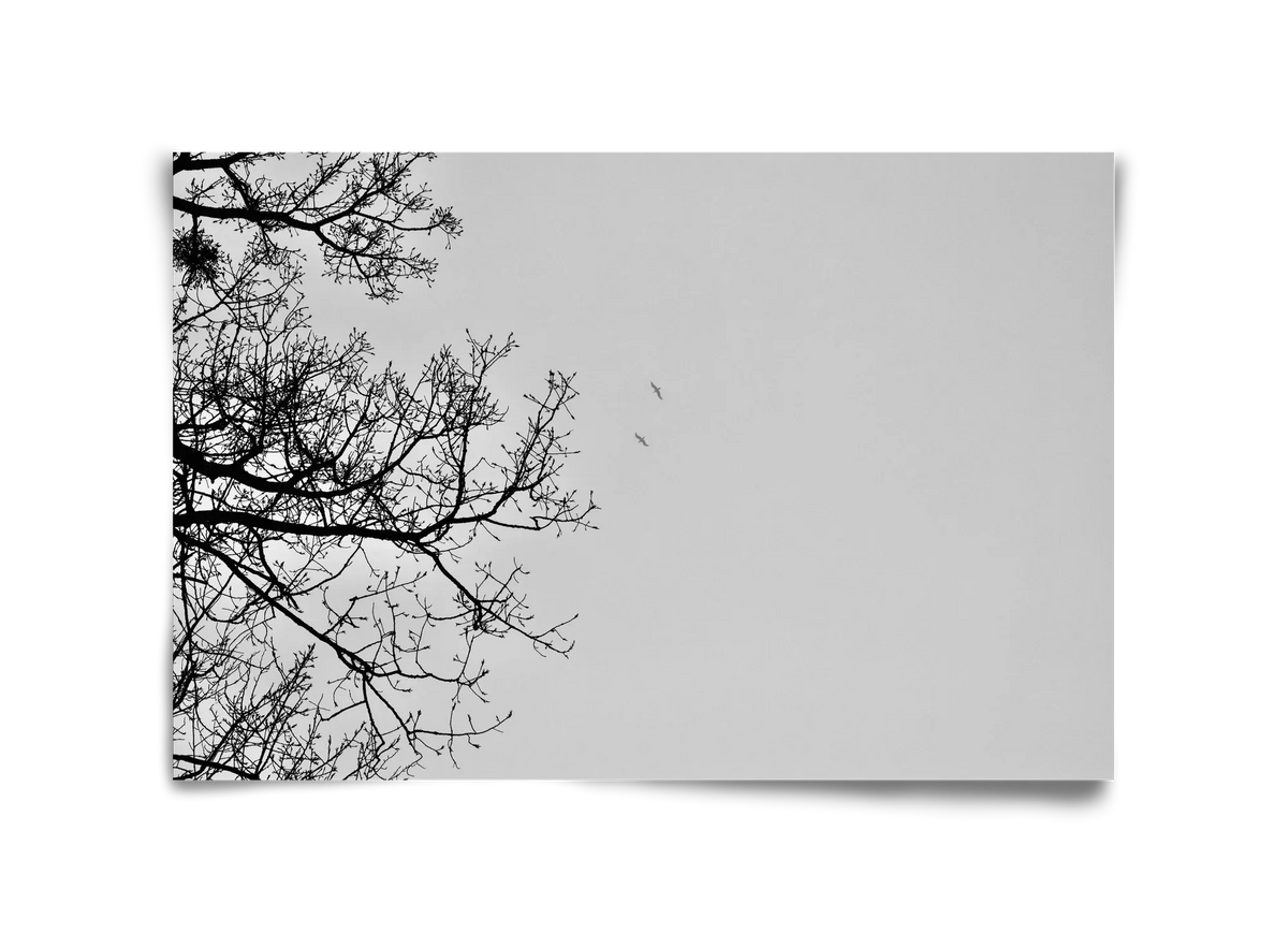 Living balance - artbridge