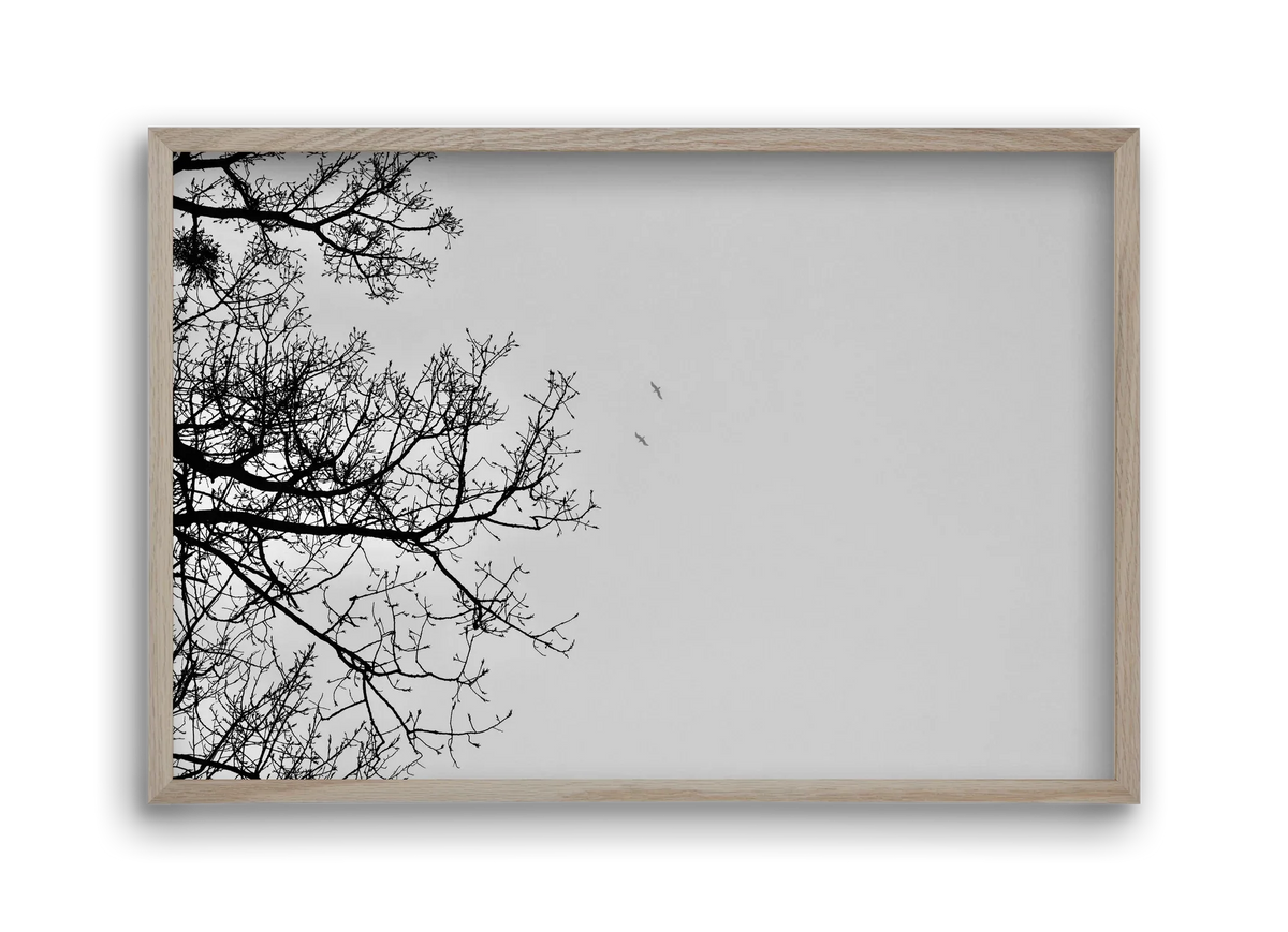 Living balance - artbridge