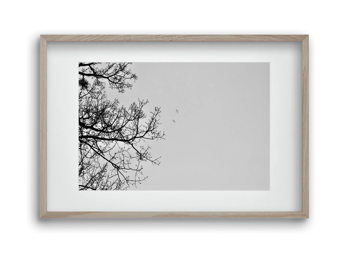 Living balance - artbridge