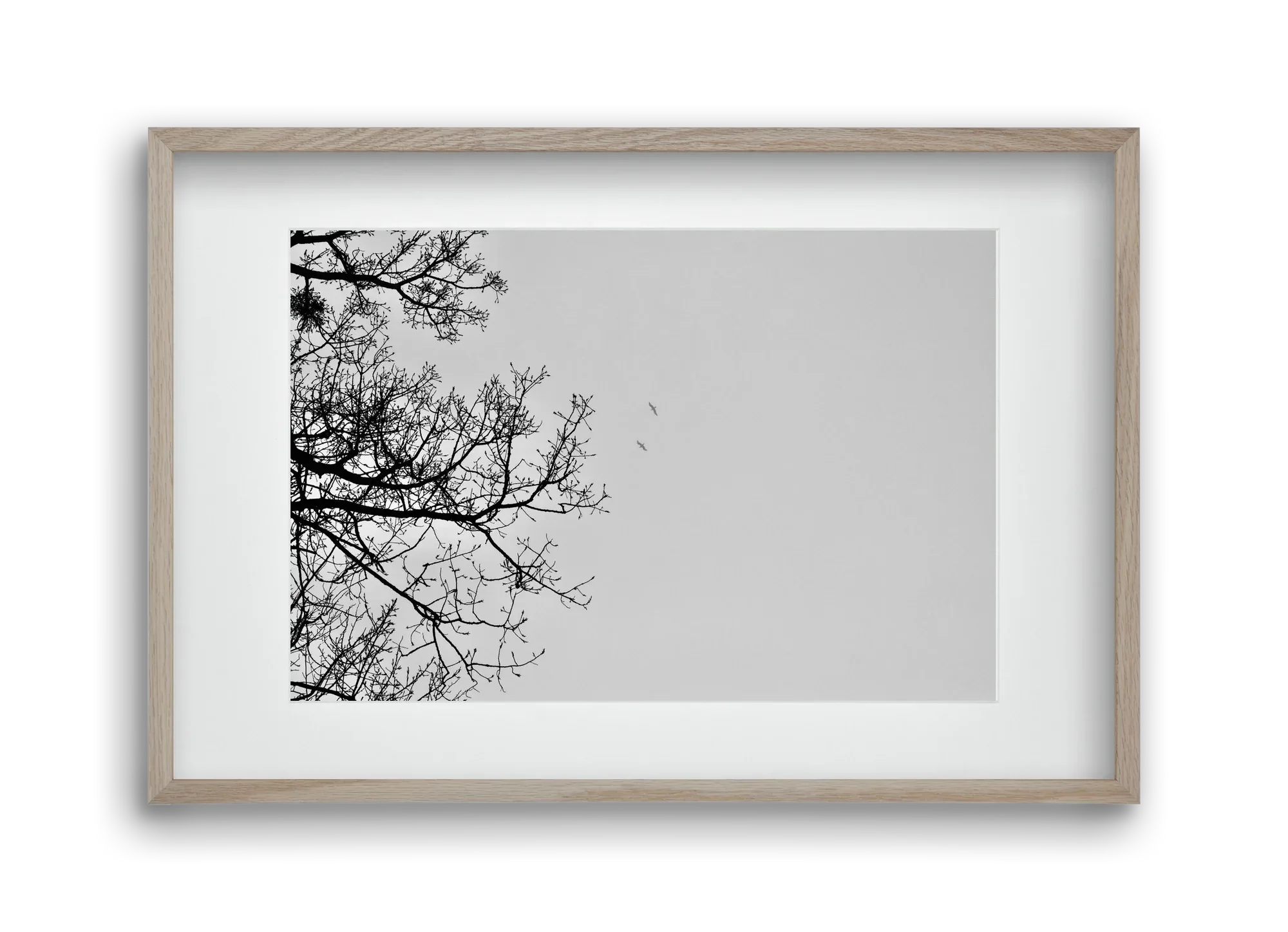 Living balance - artbridge