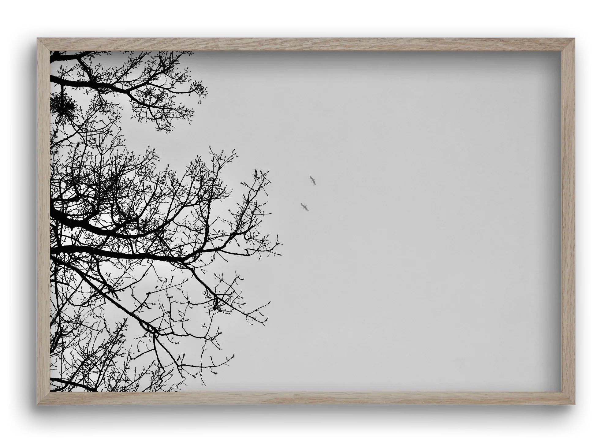 Living balance - artbridge