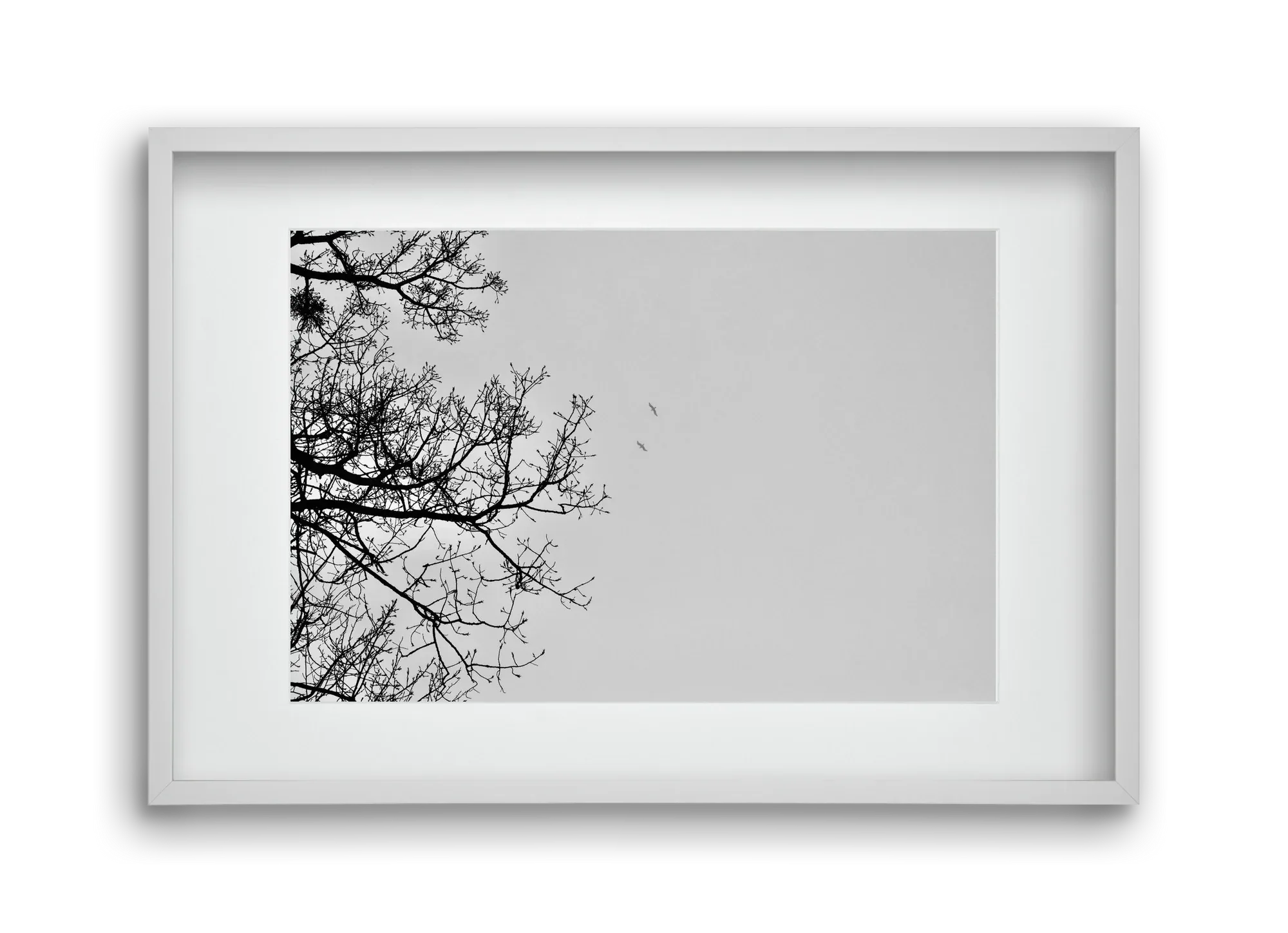 Living balance - artbridge