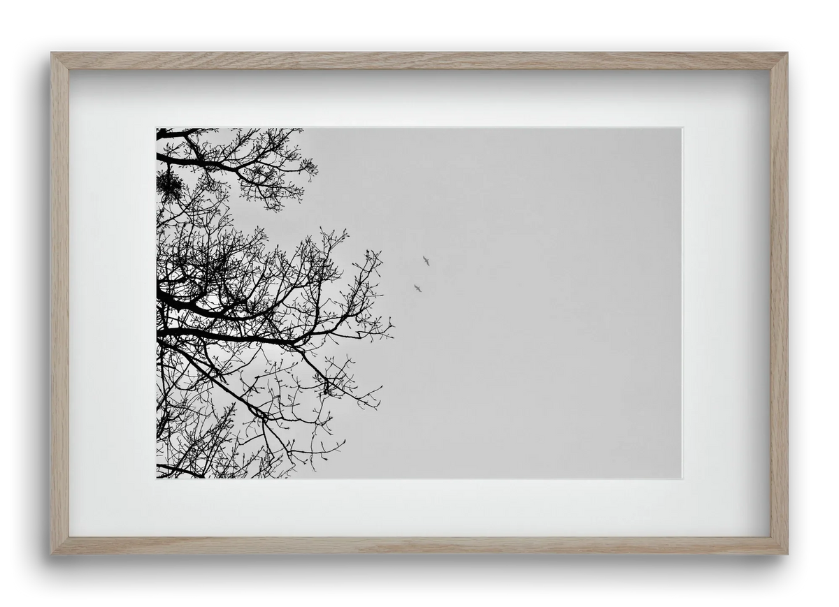 Living balance - artbridge