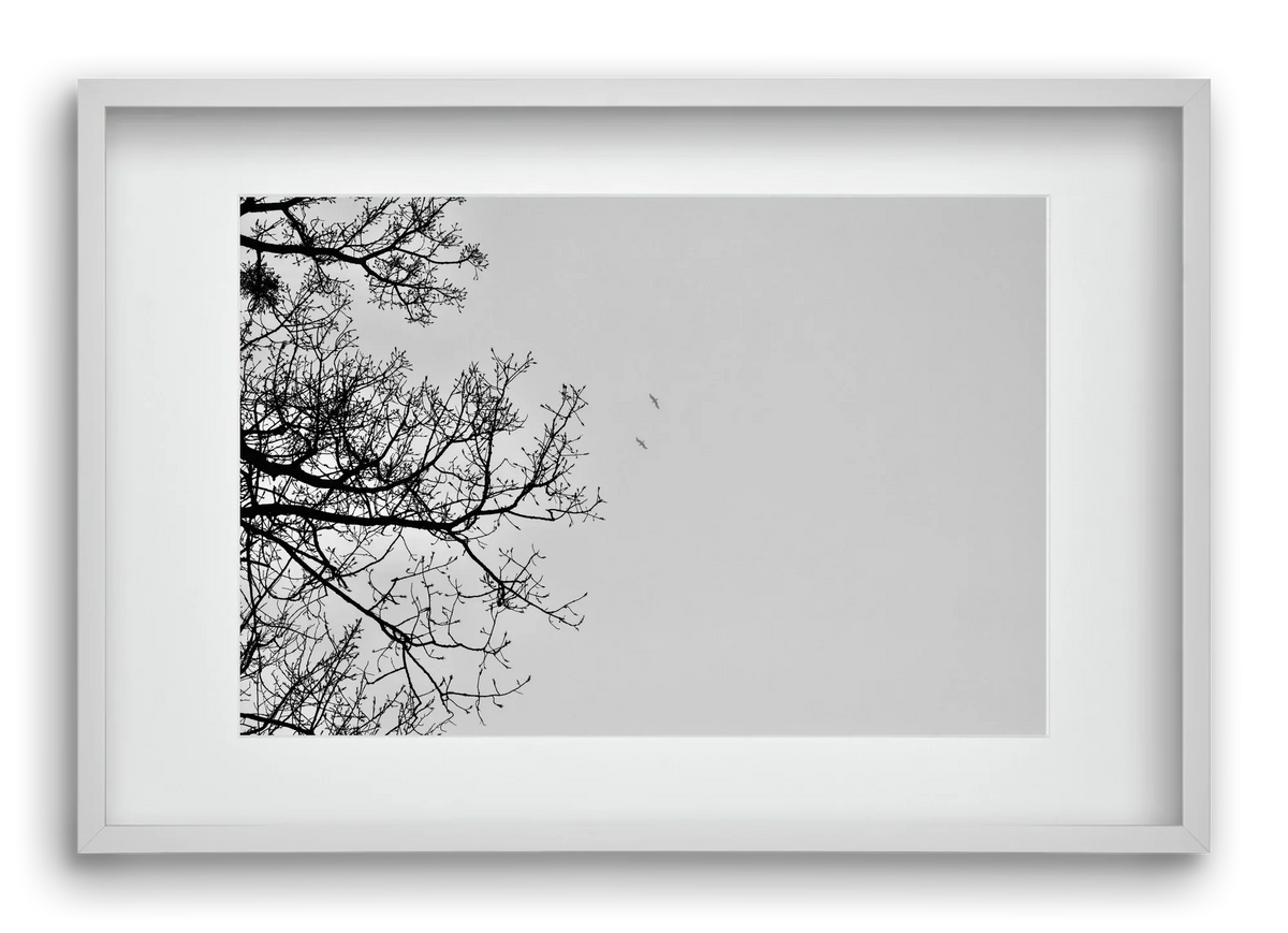 Living balance - artbridge
