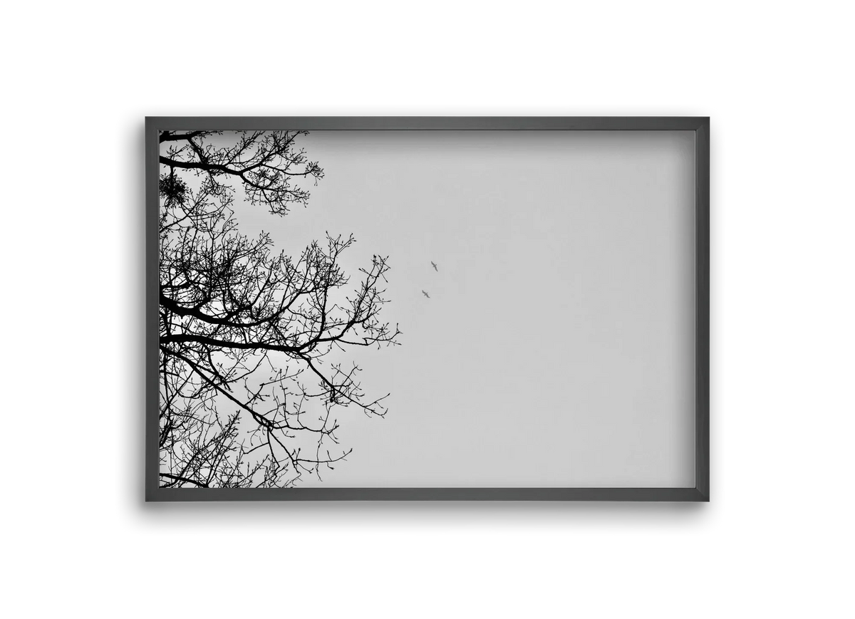 Living balance - artbridge