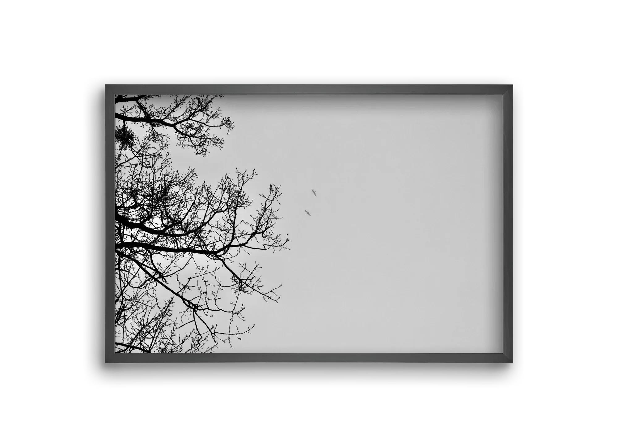 Living balance - artbridge