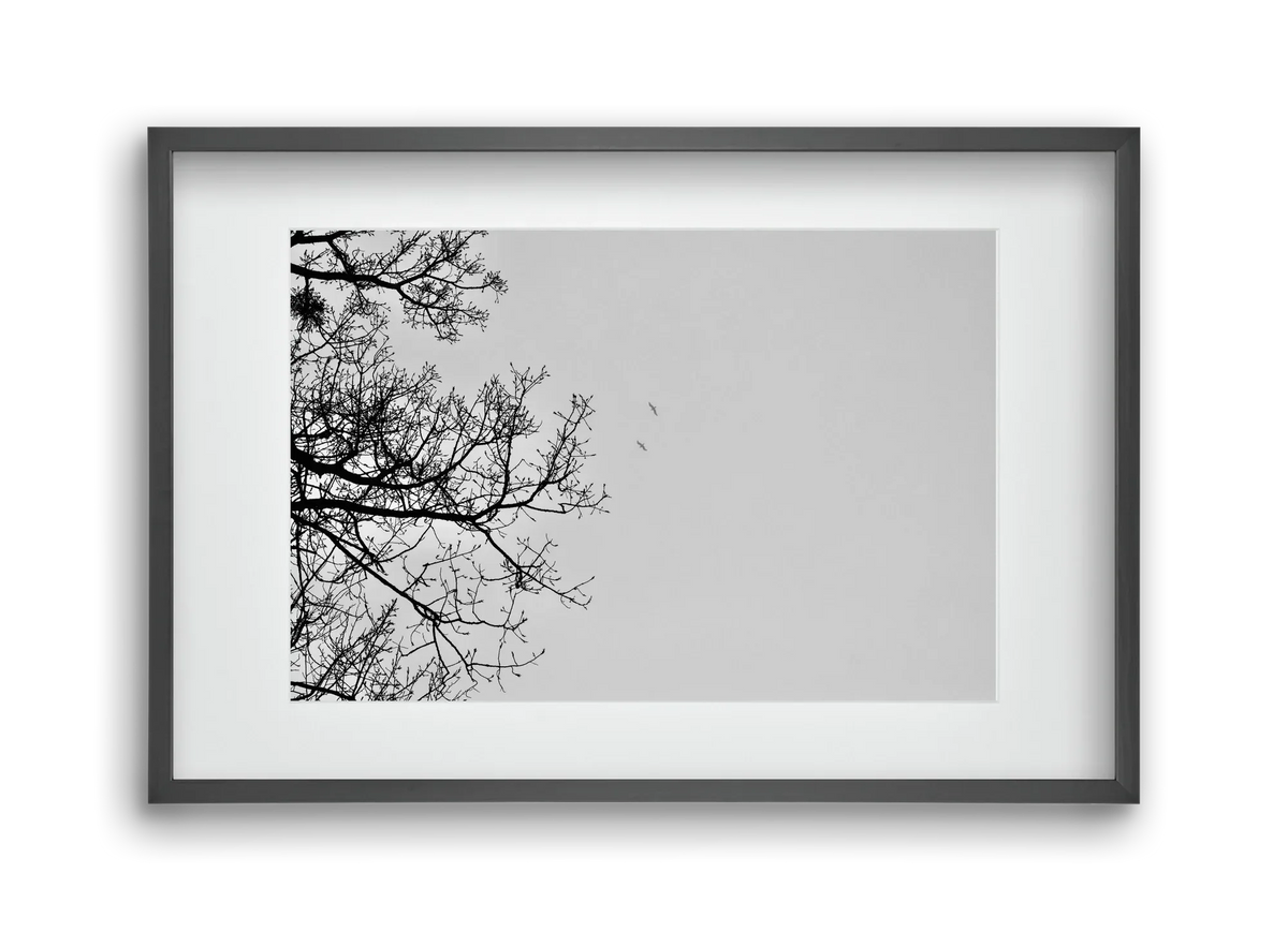Living balance - artbridge