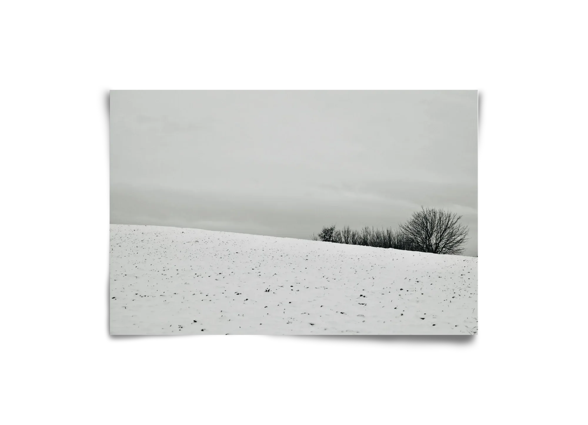 Hideaway - artbridge