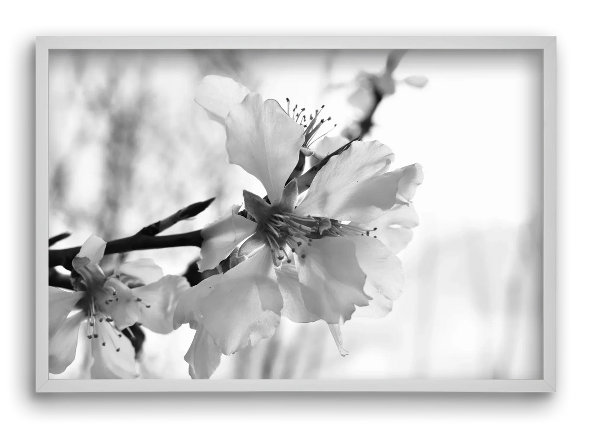 White-handed - artbridge