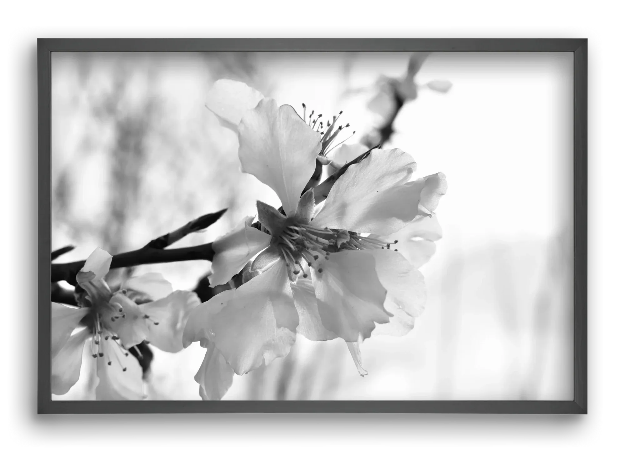 White-handed - artbridge