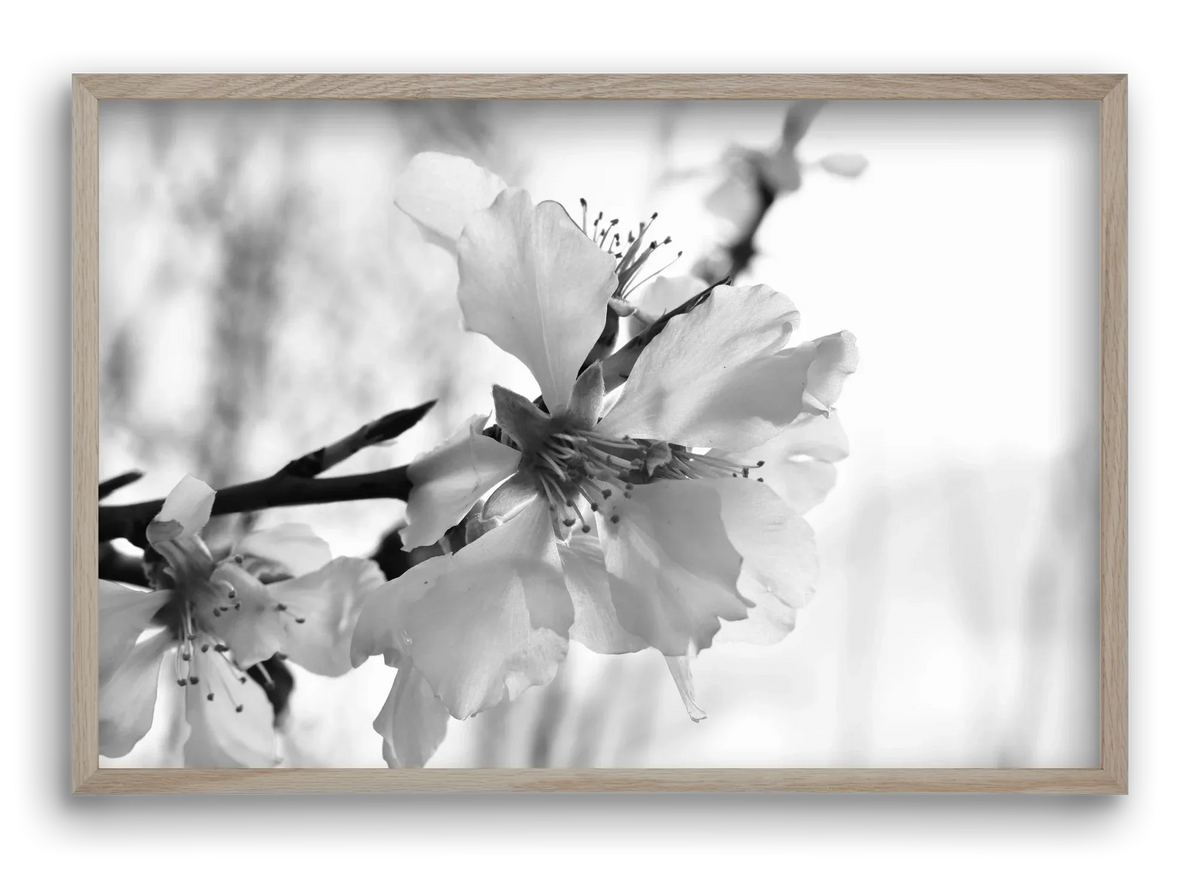White-handed - artbridge
