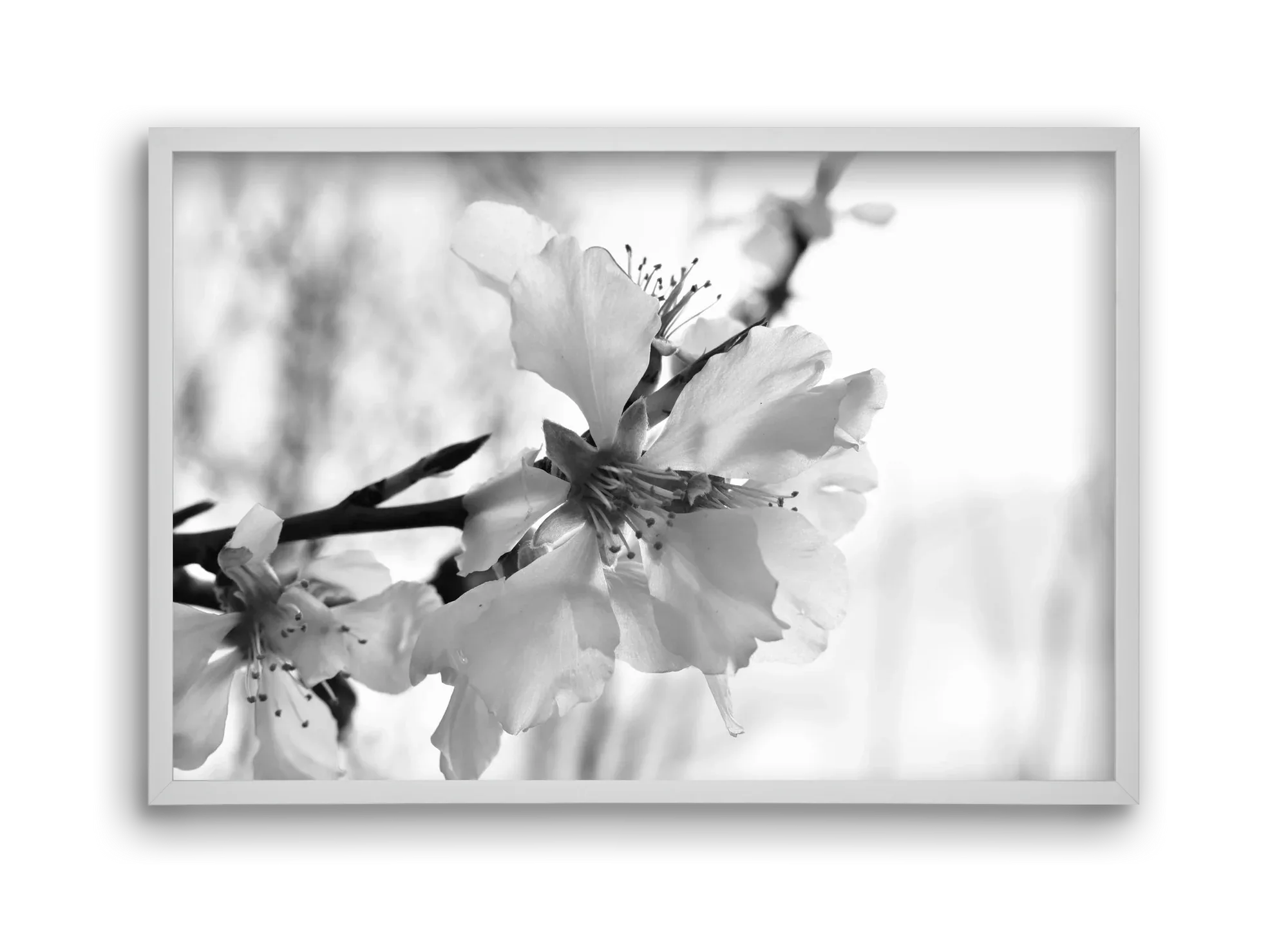 White-handed - artbridge