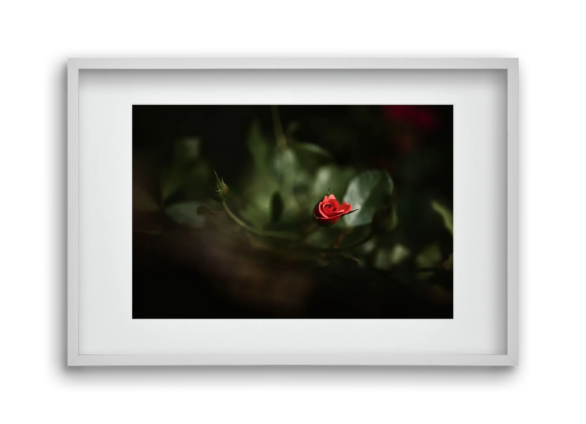 RISING - artbridge