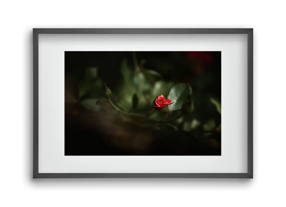 RISING - artbridge