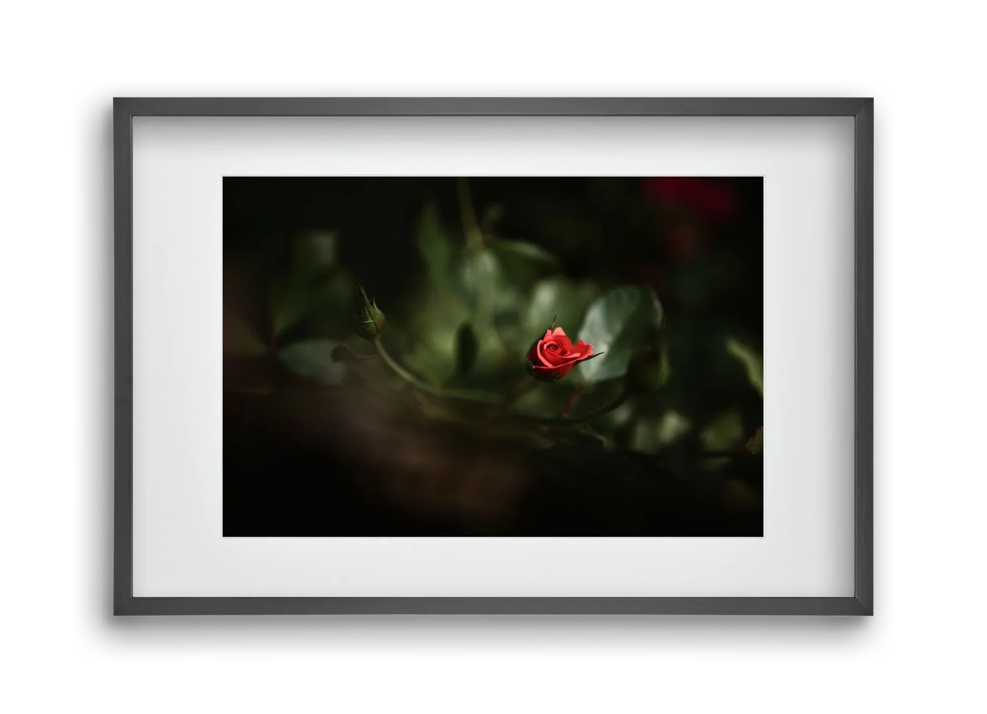 RISING - artbridge