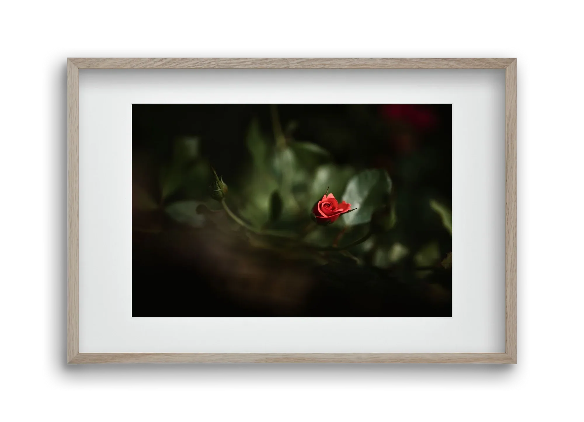 RISING - artbridge