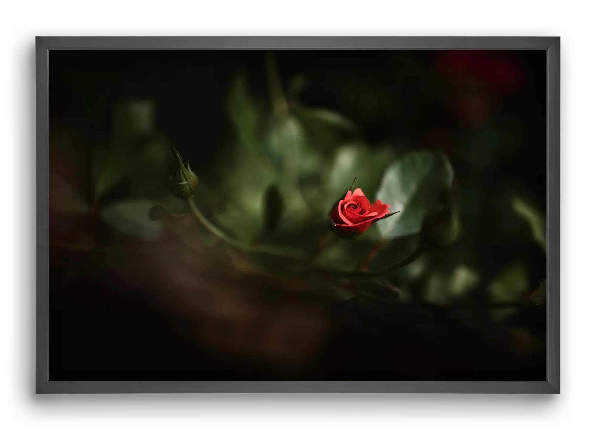 RISING - artbridge