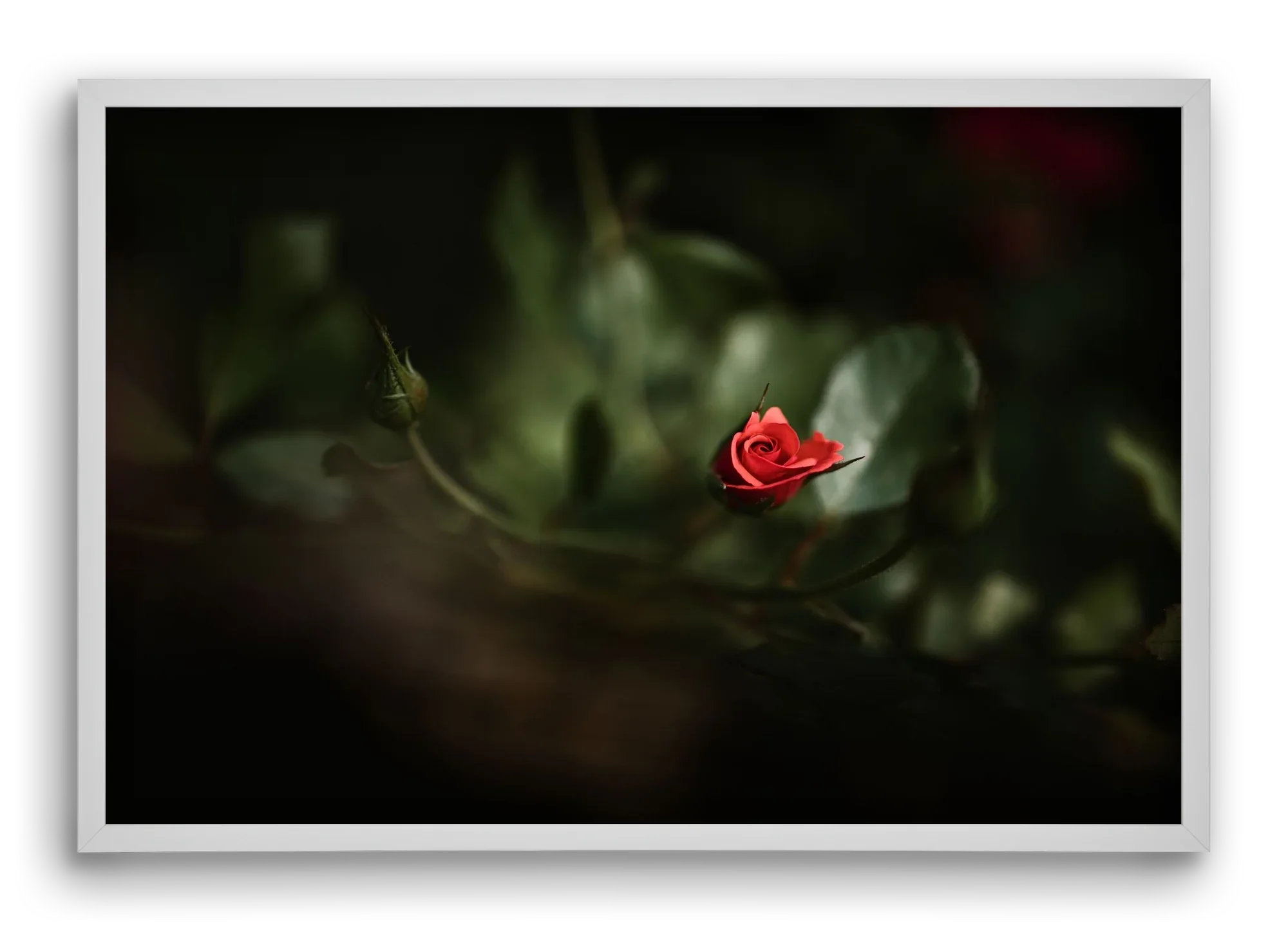 RISING - artbridge