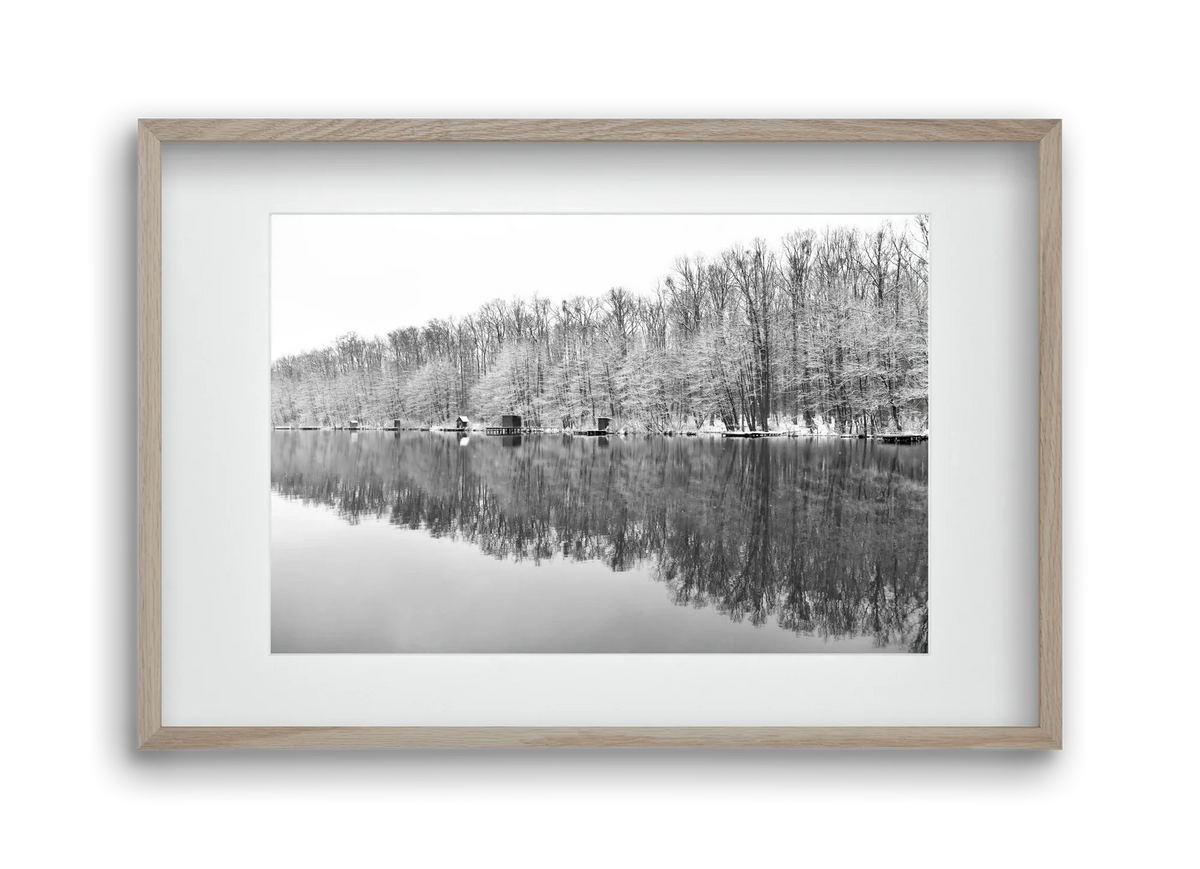 snowflake landscape - artbridge