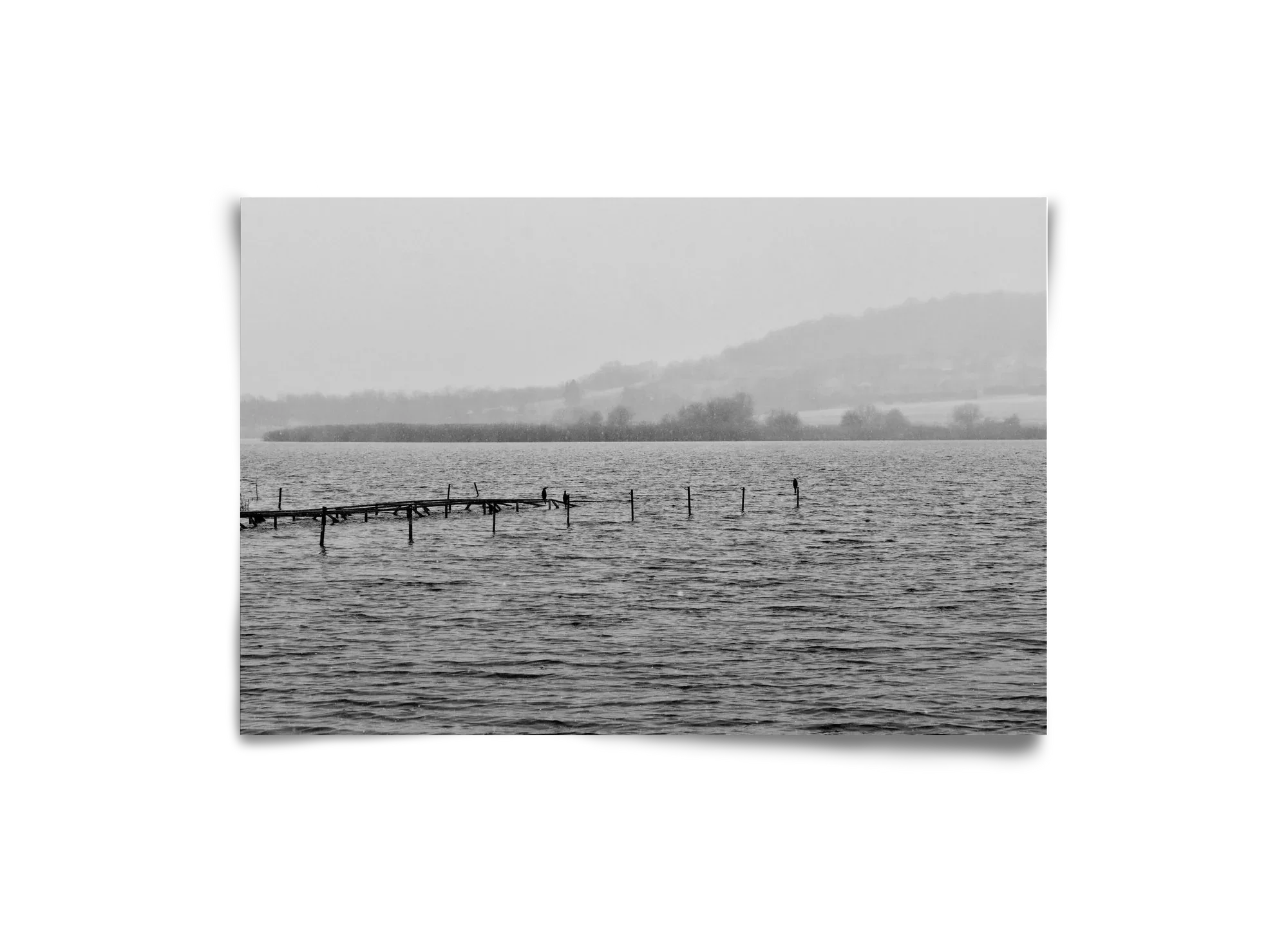 tihanyi Belső-tó - artbridge