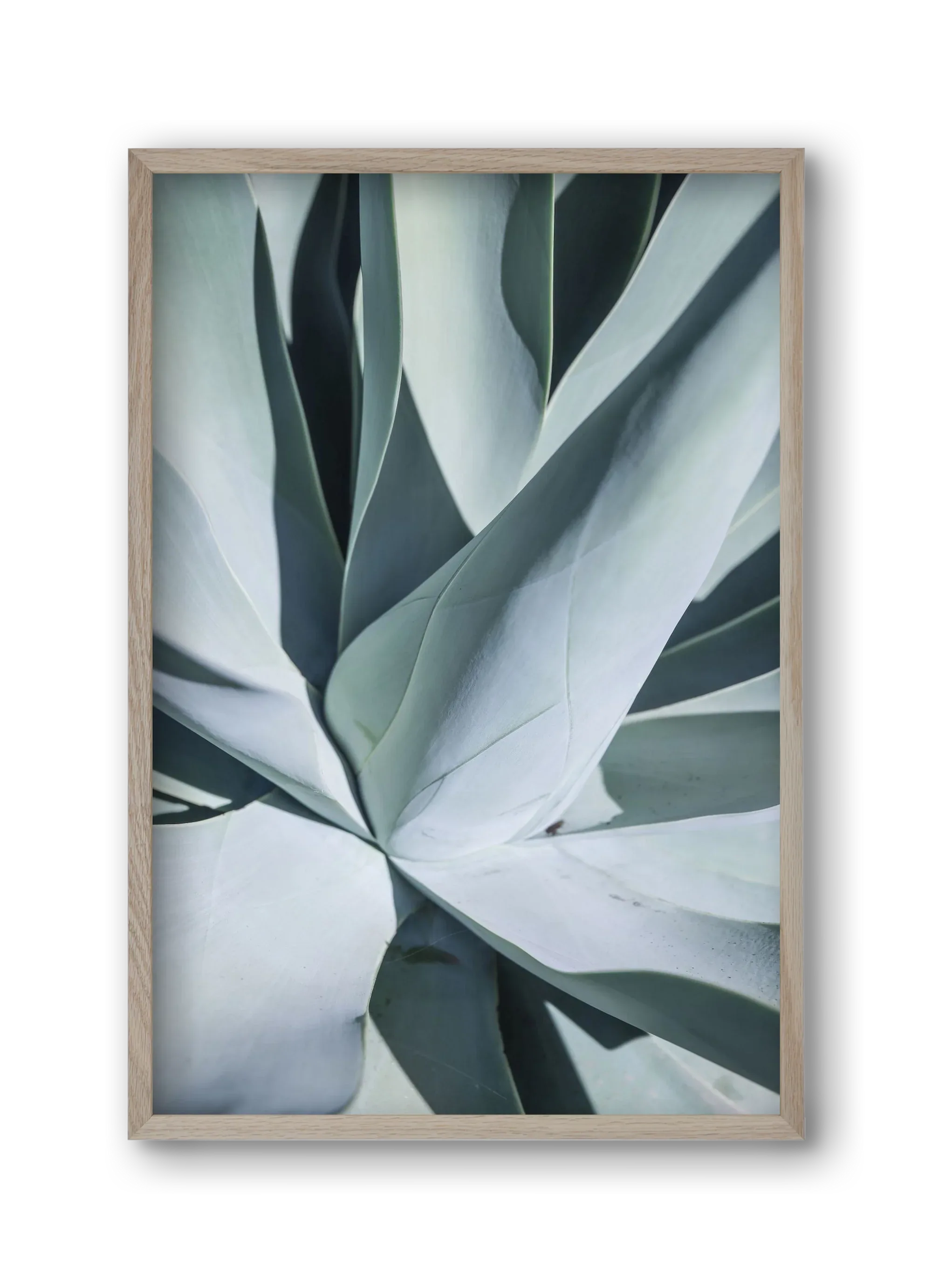 Aqua Cactus - artbridge