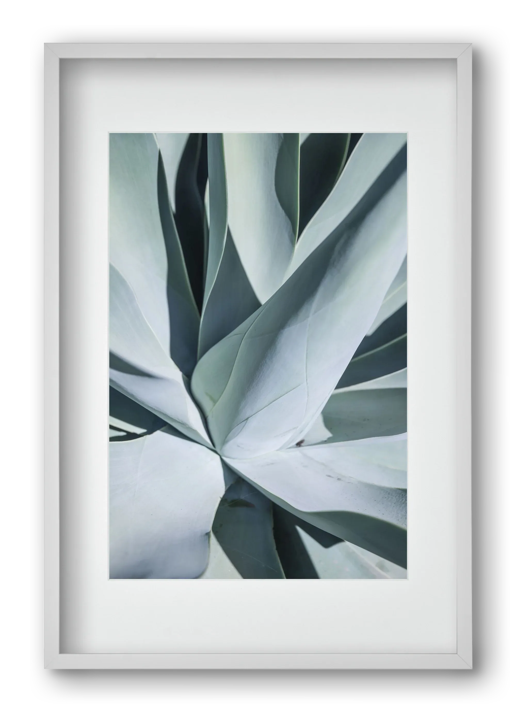 Aqua Cactus - artbridge