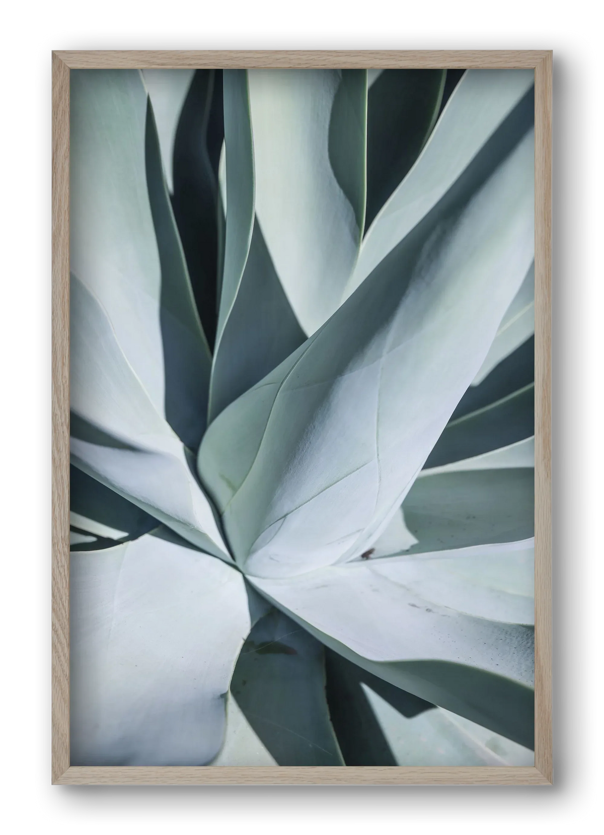 Aqua Cactus - artbridge
