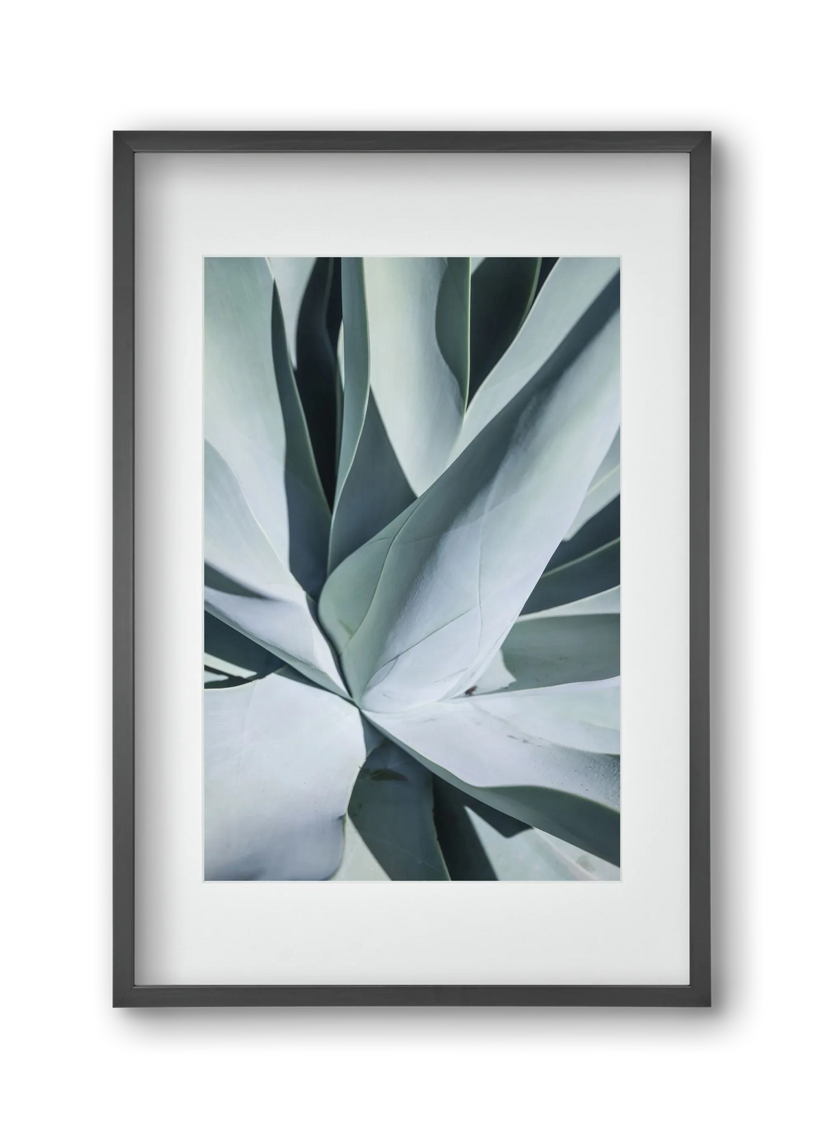 Aqua Cactus - artbridge